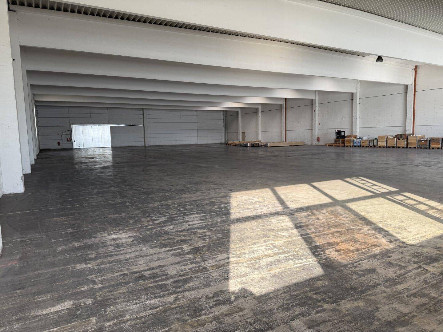 Geräumige, leere Lagerhalle mit hohen Decken, Betonboden und viel natürlichem Licht durch große Fenster.