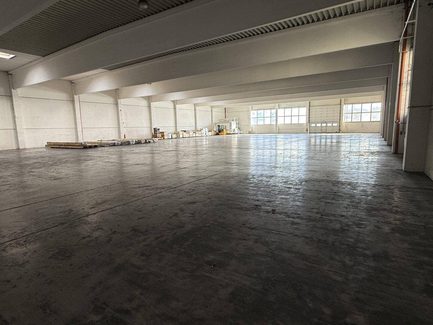 Große, leere Industriehalle mit weitem Betonboden und reichlich Tageslicht durch die Seitenfenster.