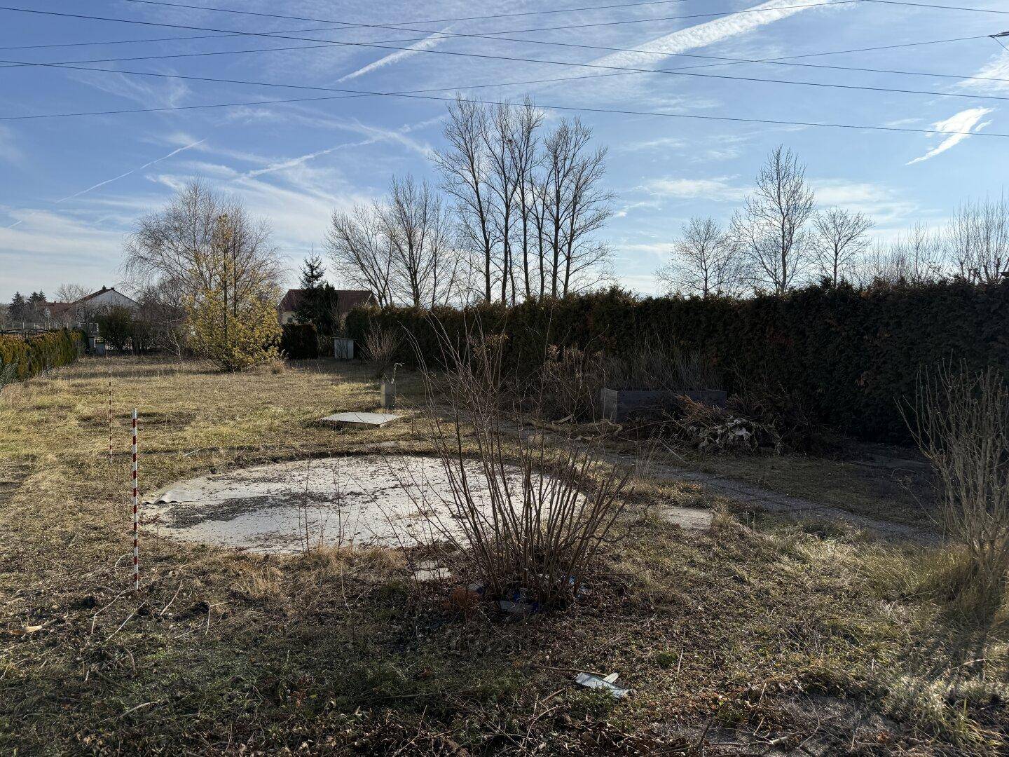 Weitläufiger Gartenbereich mit kahlen Bäumen, Hecke und ungenutzter Fläche unter blauem Himmel.
