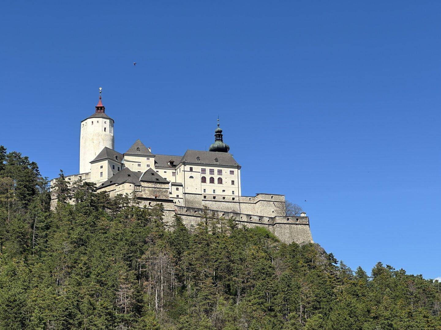 Majestätische Burg auf einem bewaldeten Hügel unter klarem blauem Himmel, sichtbar aus der Ferne.