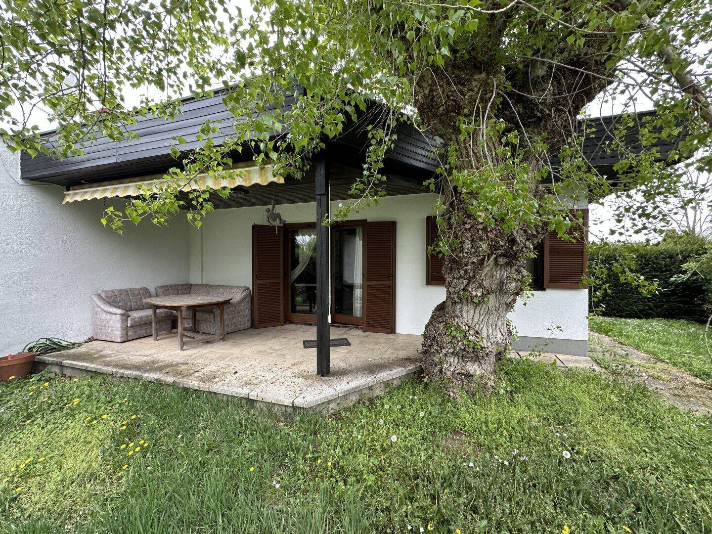 Gemütliche Terrasse mit Sitzgelegenheiten unter einem großen, alten Baum und einer Markise.