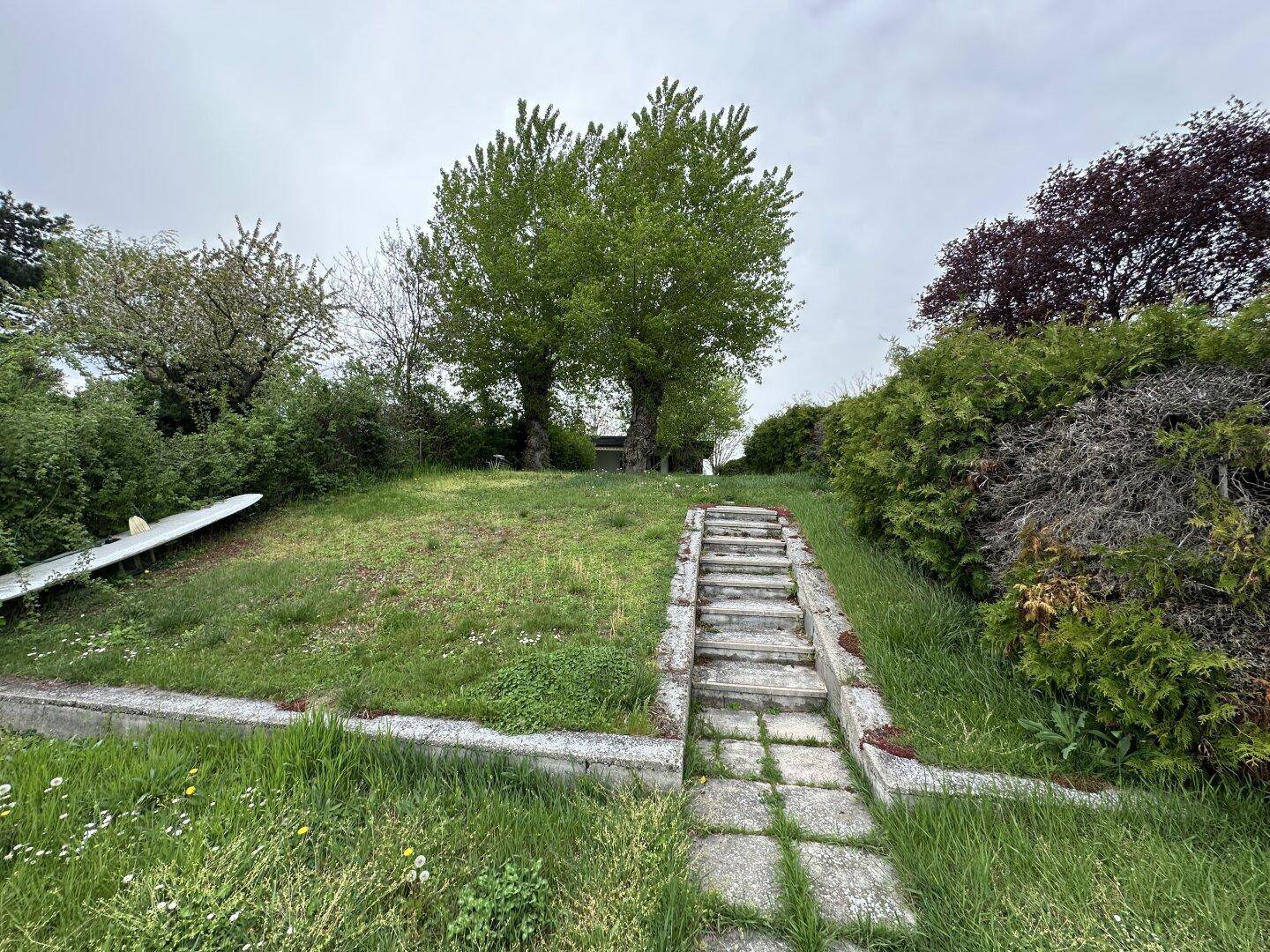 Großer Garten mit Rasenfläche, alten Bäumen und einer Steintreppe, die zum oberen Bereich führt.