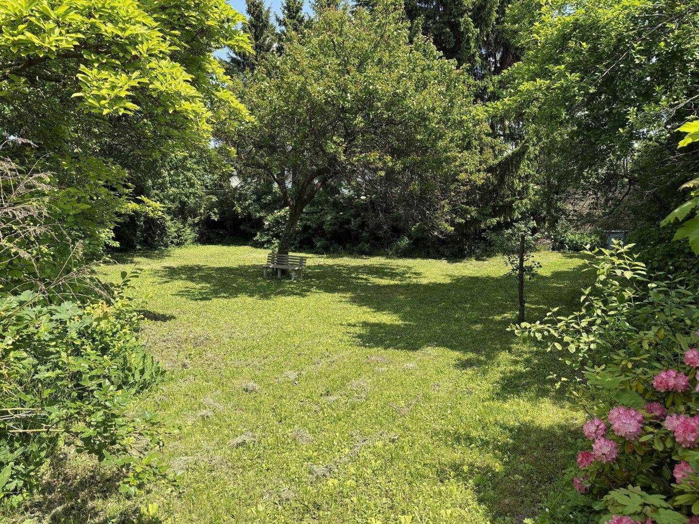 Großer, gepflegter Garten mit Rasenfläche, altem Baumbestand und einer Holzbank.