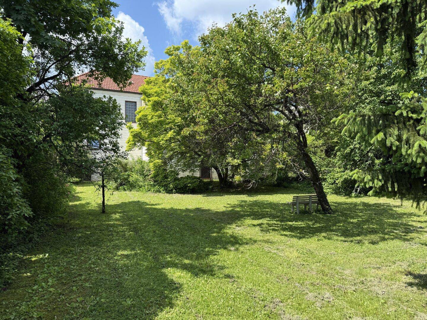 Weitläufiger Garten mit Rasen, schattenspendenden Bäumen und dem Haus im Hintergrund.