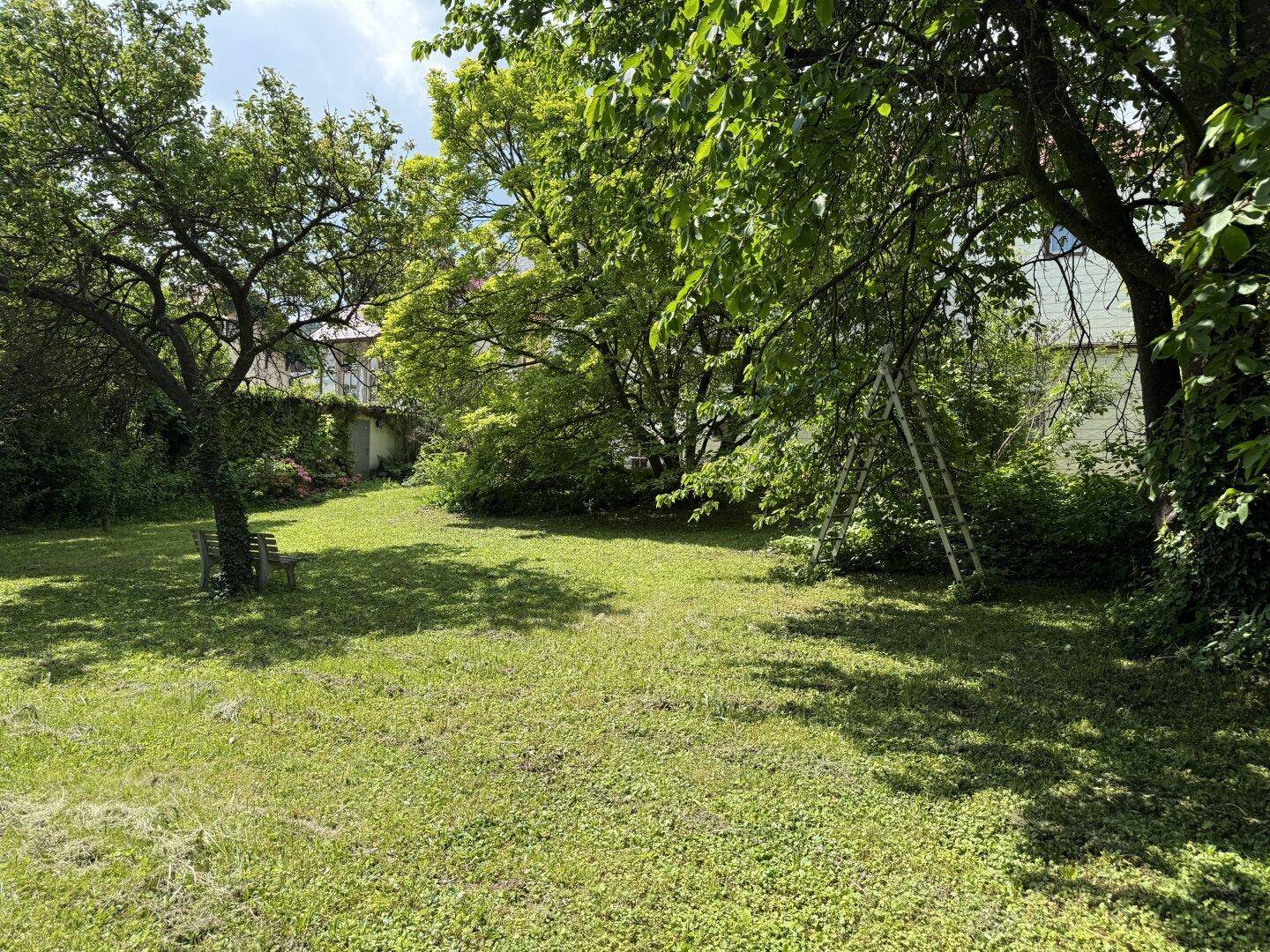 Sonniger Gartenbereich mit Rasen, Obstbäumen und einer Leiter, umgeben von viel Grün.