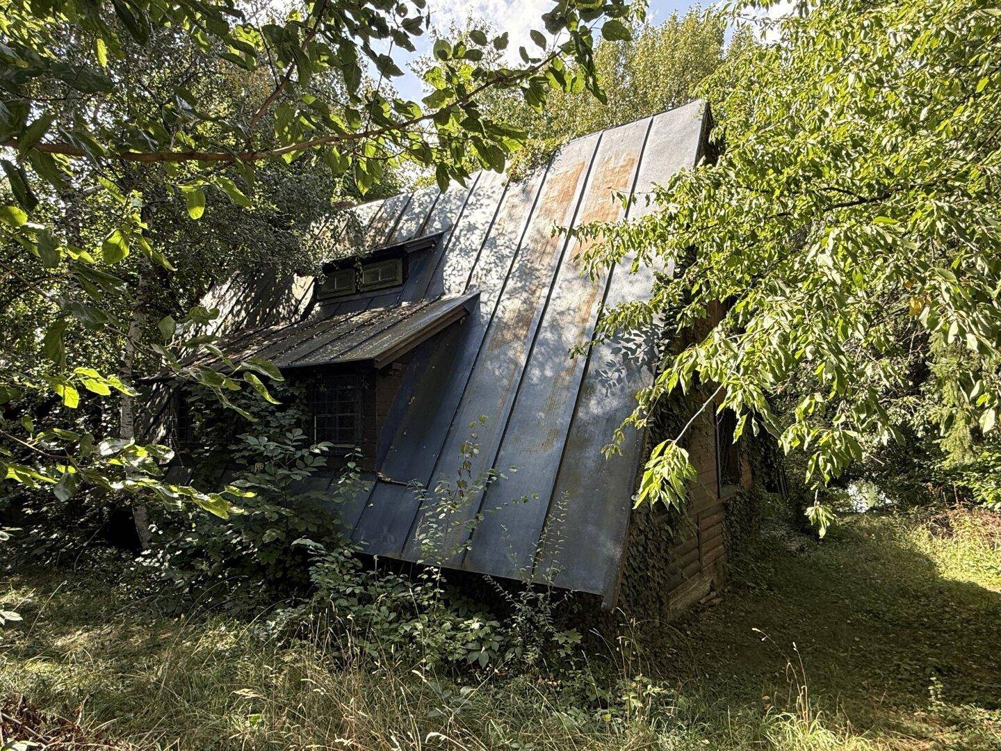 Versteckte, rustikale Holzhütte mit steilem Metalldach, umgeben von dichtem, wildem Grün.