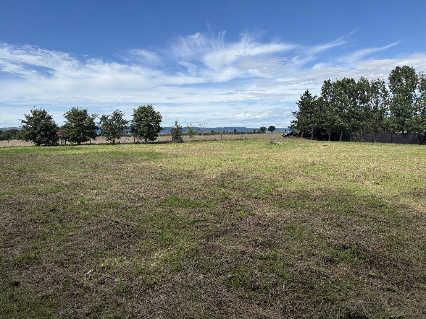 Eine große, sonnige Grasfläche mit Bäumen im Hintergrund und einem weiten Horizont.