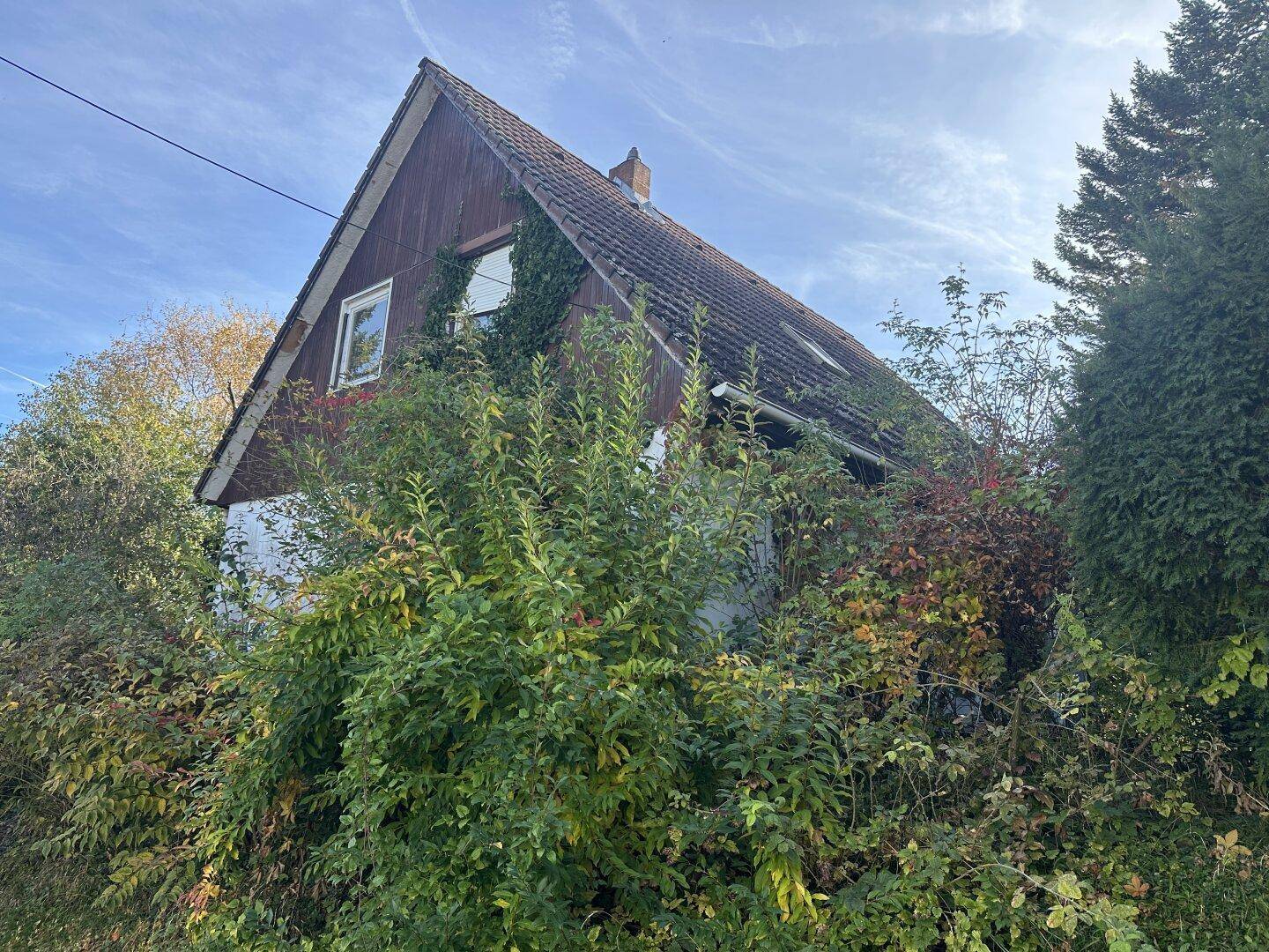 Seitenansicht des Hauses mit dichtem Bewuchs, Satteldach und einem Fenster im Giebel.