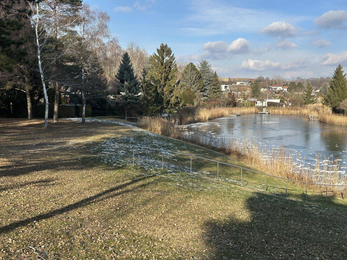 Weitläufiger Blick auf einen teilweise zugefrorenen See, umgeben von Bäumen und Natur.