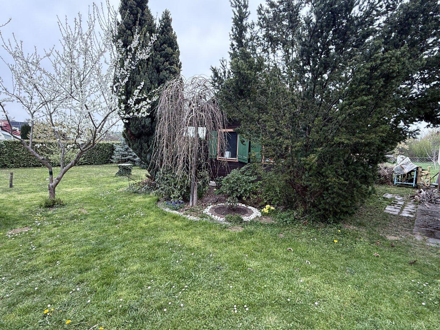 Gartenbereich mit Rasen, verschiedenen Bäumen und einem kleinen Gartenhaus.