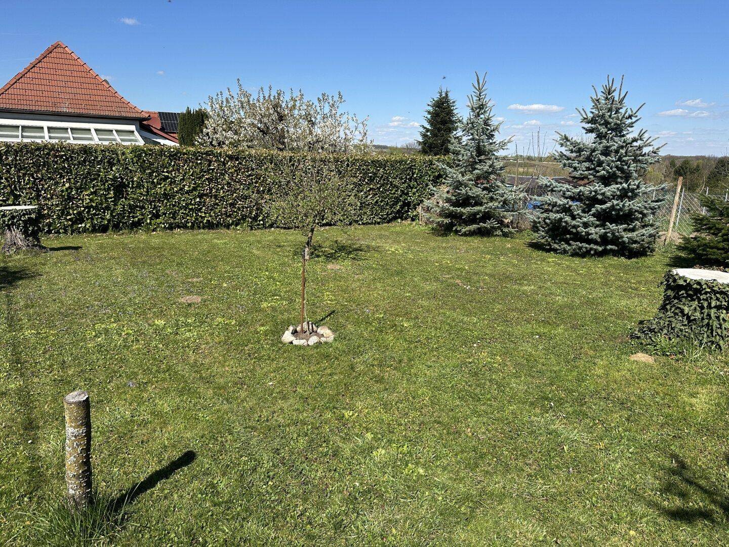 zentrumsnaher Bungalow mit sonnigem Garten zu verkaufen - Widok 2