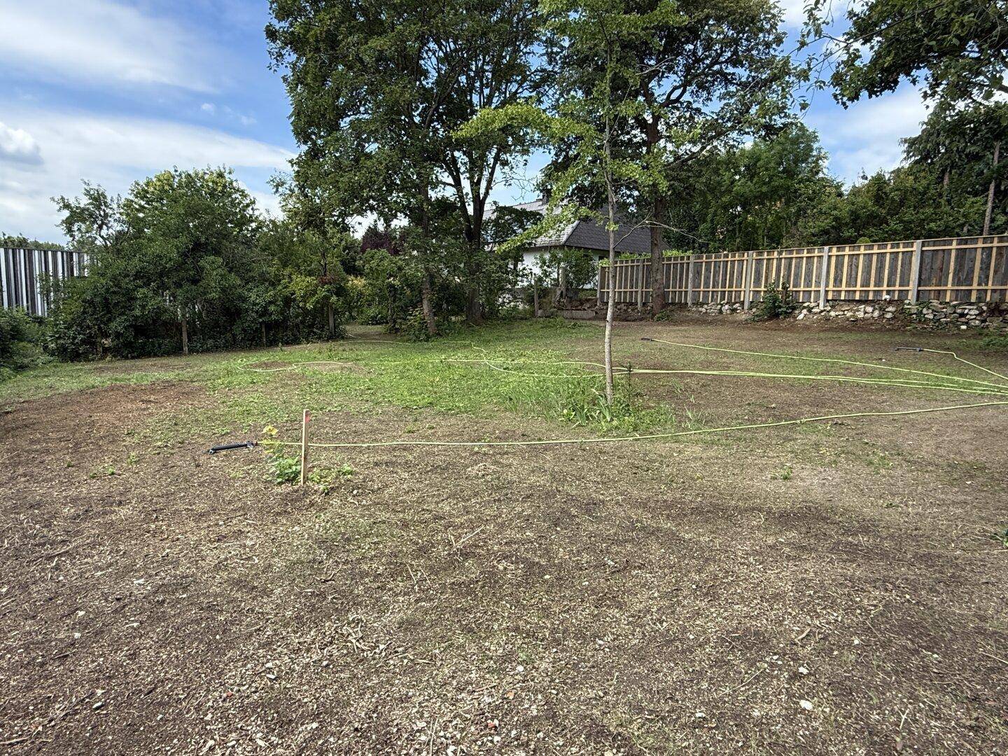 Blick über das Gartengrundstück mit jungem Baumbestand und einem Holzzaun im Hintergrund.