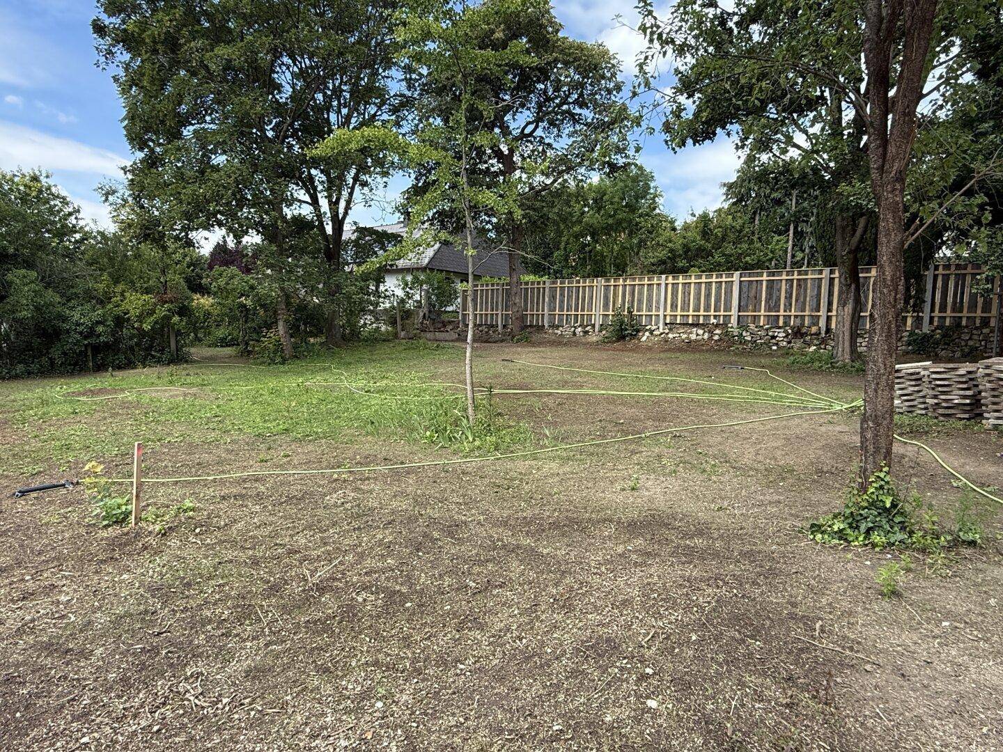 Weitläufiges Gartengrundstück mit natürlichem Bewuchs und vorbereiteter Fläche für zukünftige Gestaltung.