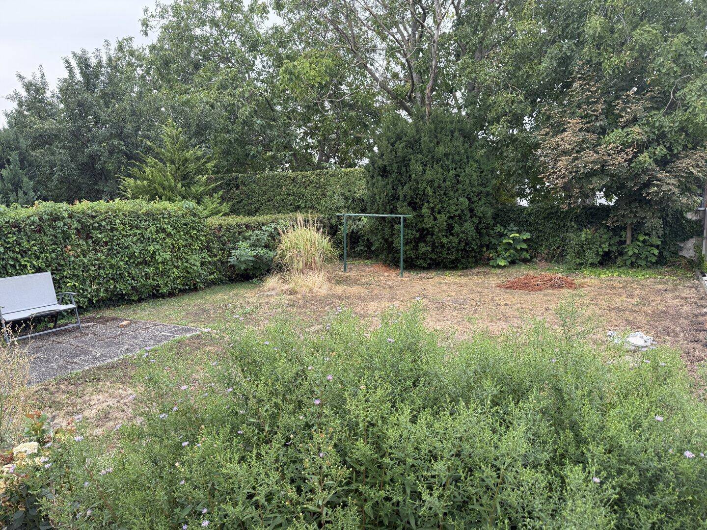 Gepflegter Garten mit Rasenfläche, Hecken und Bäumen, ideal zum Entspannen im Freien.