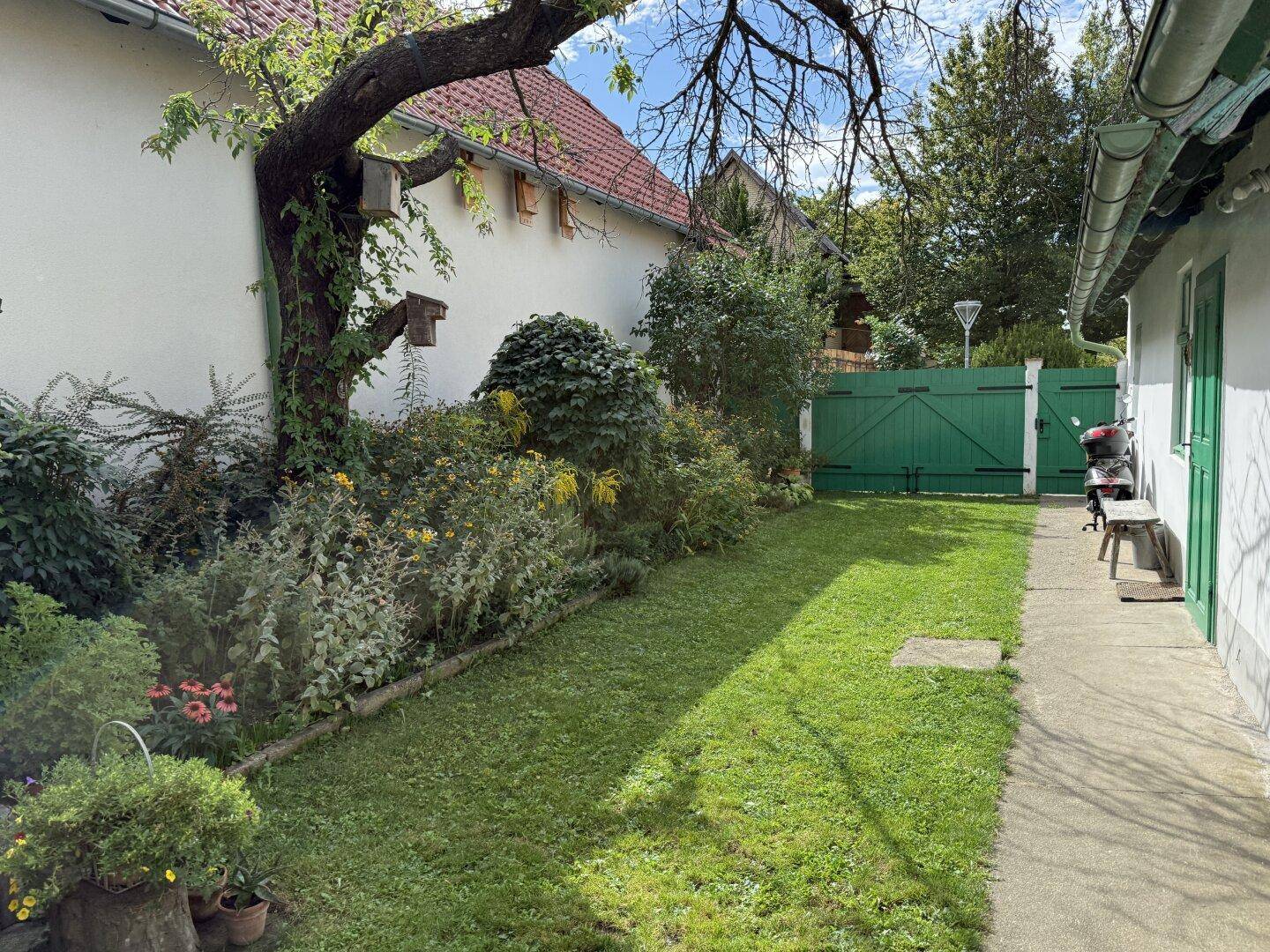 Gepflegter Gartenbereich mit Rasenfläche, üppiger Bepflanzung und grünem Holztor.