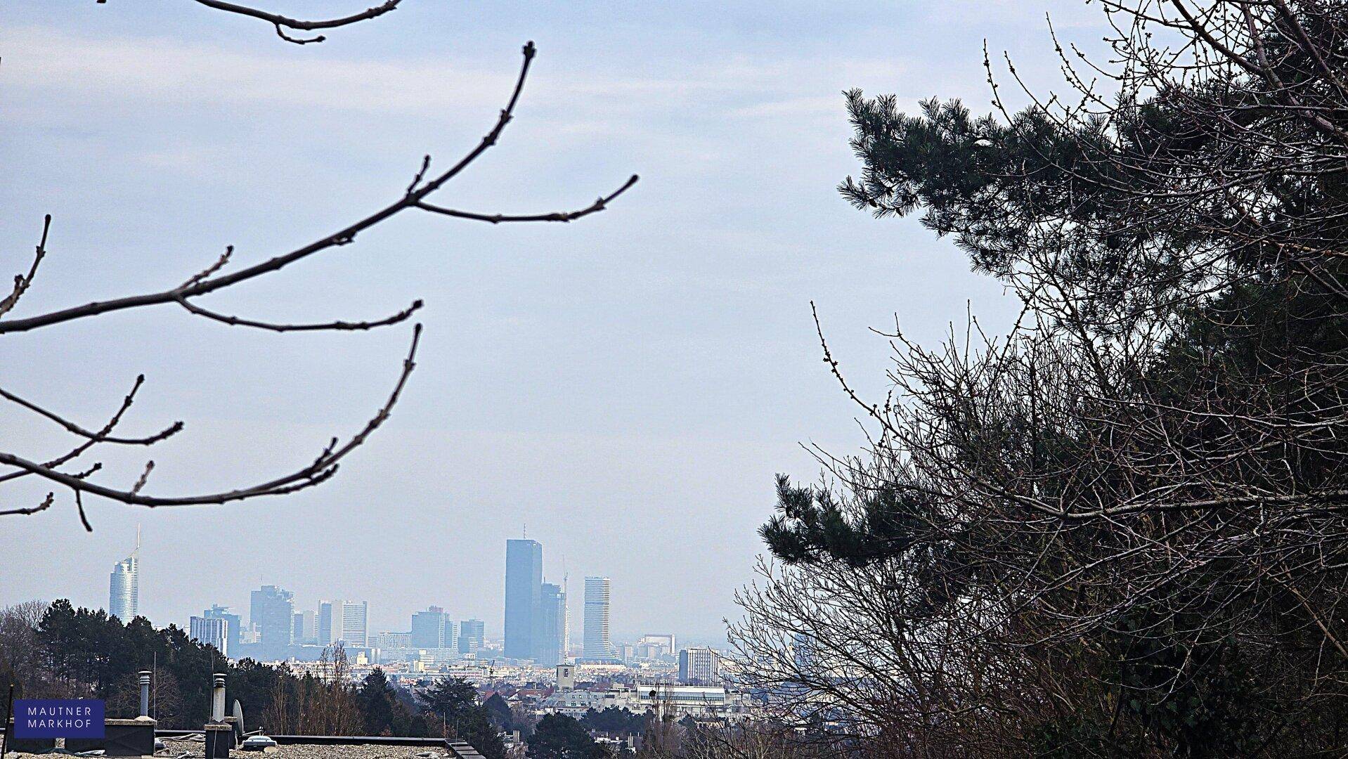 Panoramablick auf die städtische Skyline mit Wolkenkratzern, eingerahmt von winterlichen Ästen.