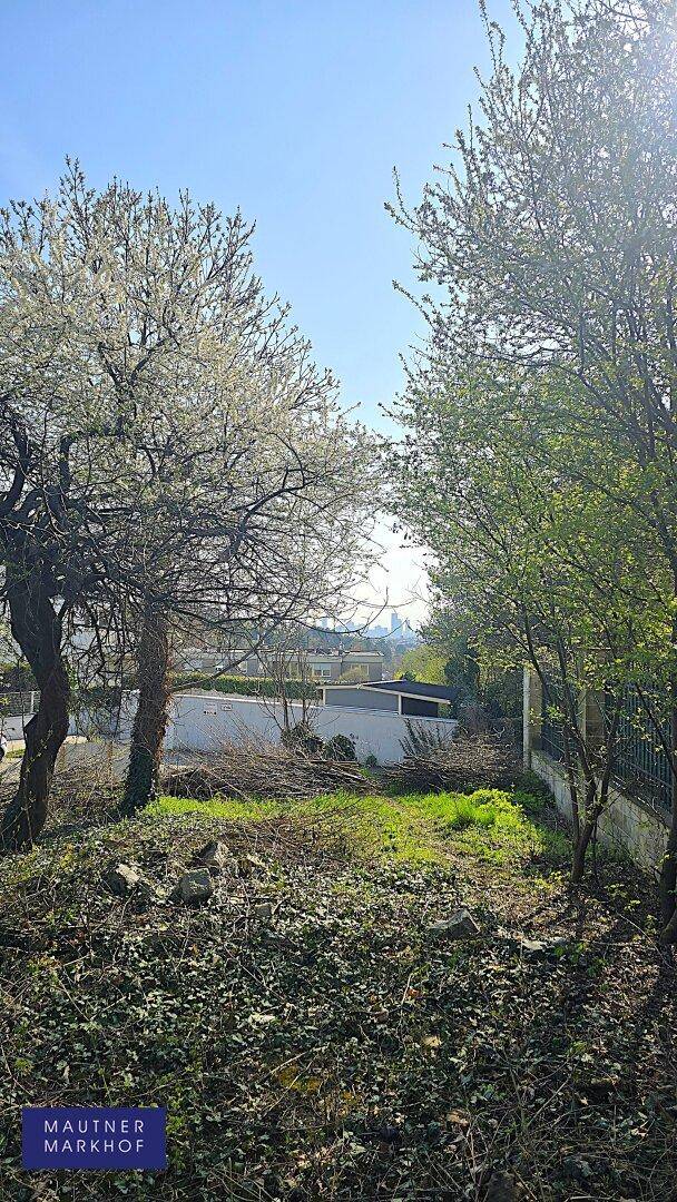 Sonniger Gartenbereich mit blühenden Bäumen und Blick auf die weitere Umgebung.