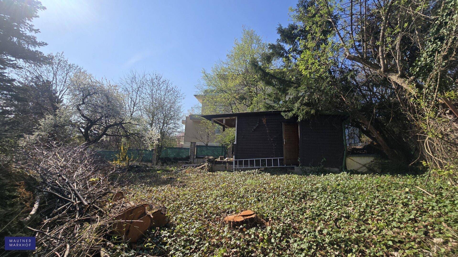 Gartenbereich mit einem kleinen Holzschuppen, umgeben von Bäumen und Sträuchern.