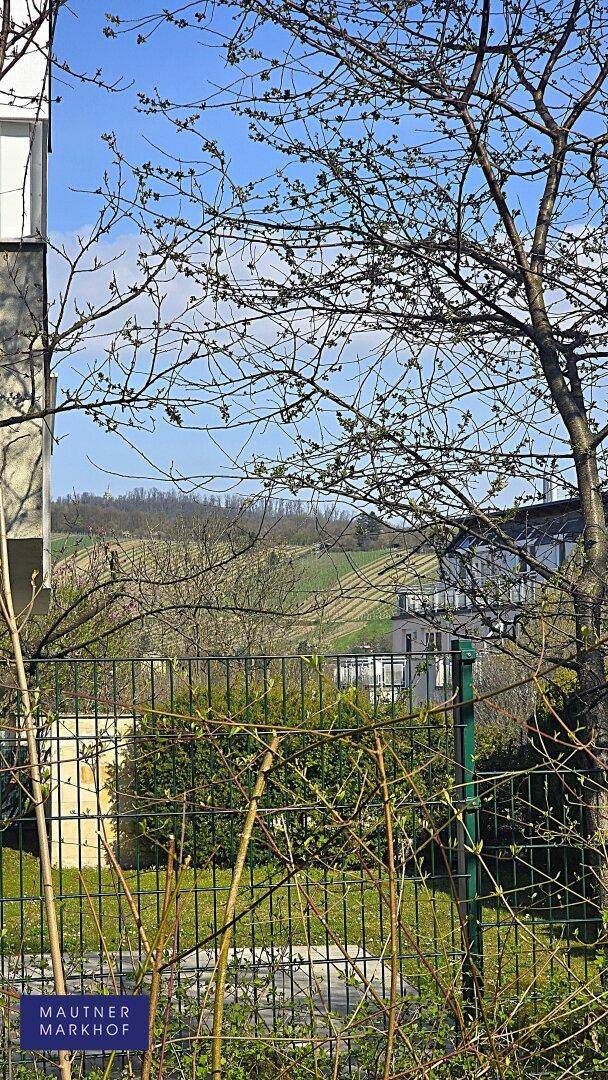 Blick auf die umliegende Landschaft mit Bäumen und einem Zaun im Vordergrund.