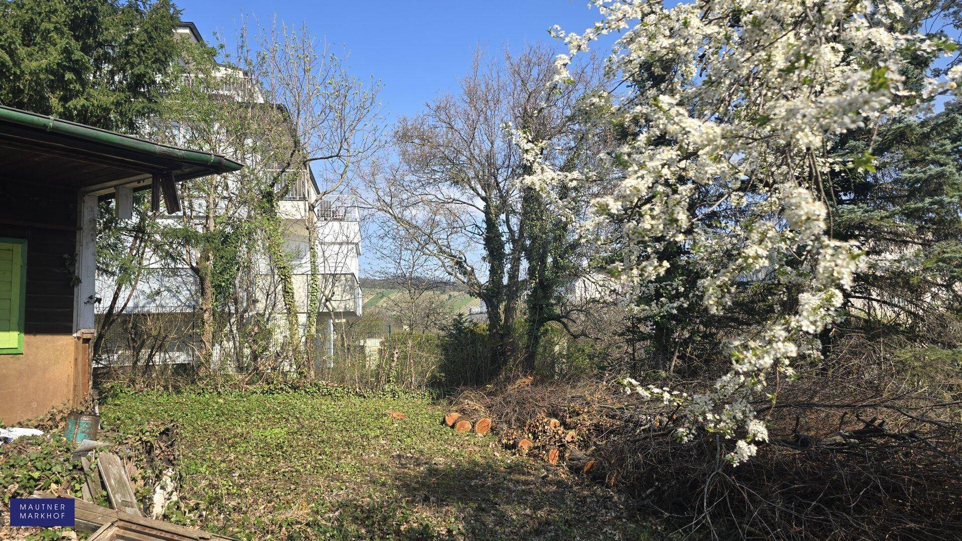 Gartenbereich mit blühenden Bäumen, Sträuchern und Blick auf die Umgebung.