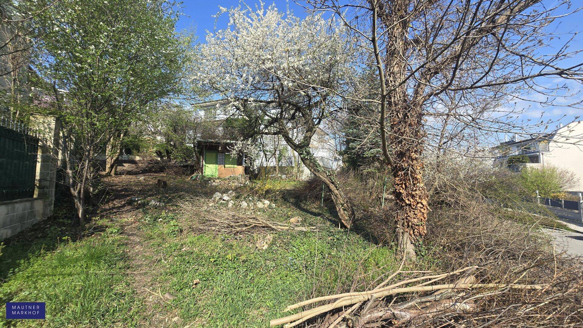 Hanglage im Garten mit Bäumen, Sträuchern und Blick auf die umliegenden Häuser.