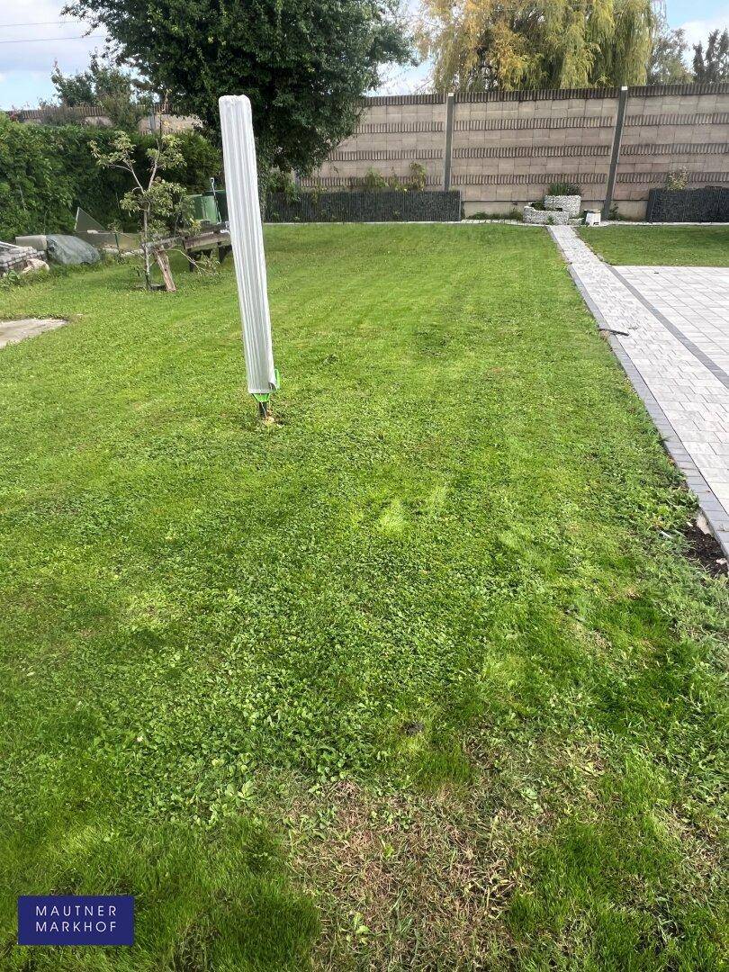 Große Rasenfläche im Garten mit gepflastertem Weg und umgebender Bepflanzung.