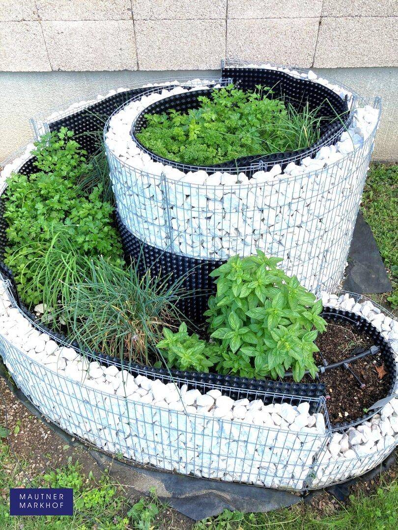 Kreativer Kräutergarten in Spiralform mit verschiedenen Pflanzen und Steinen.