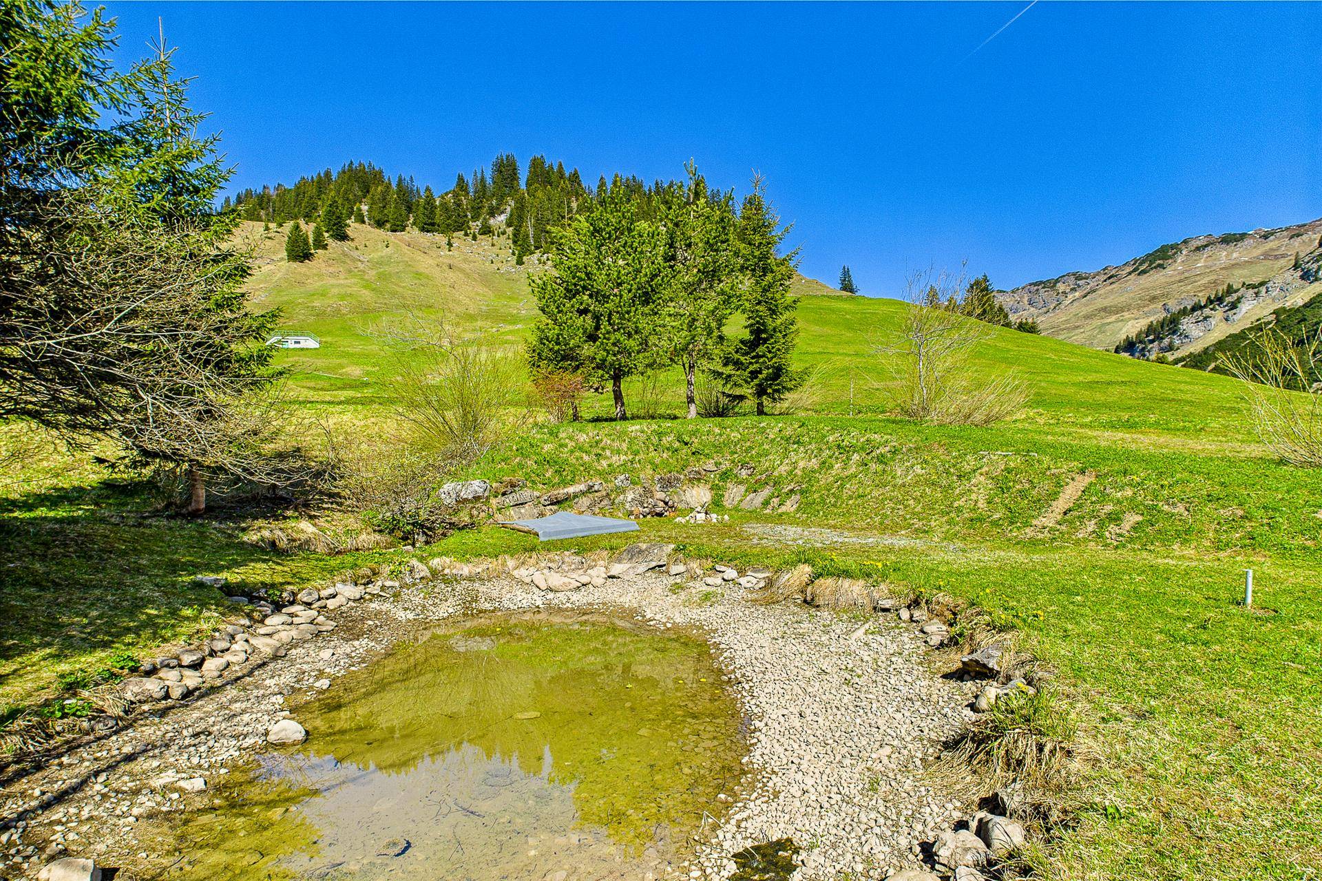 Nordansicht
