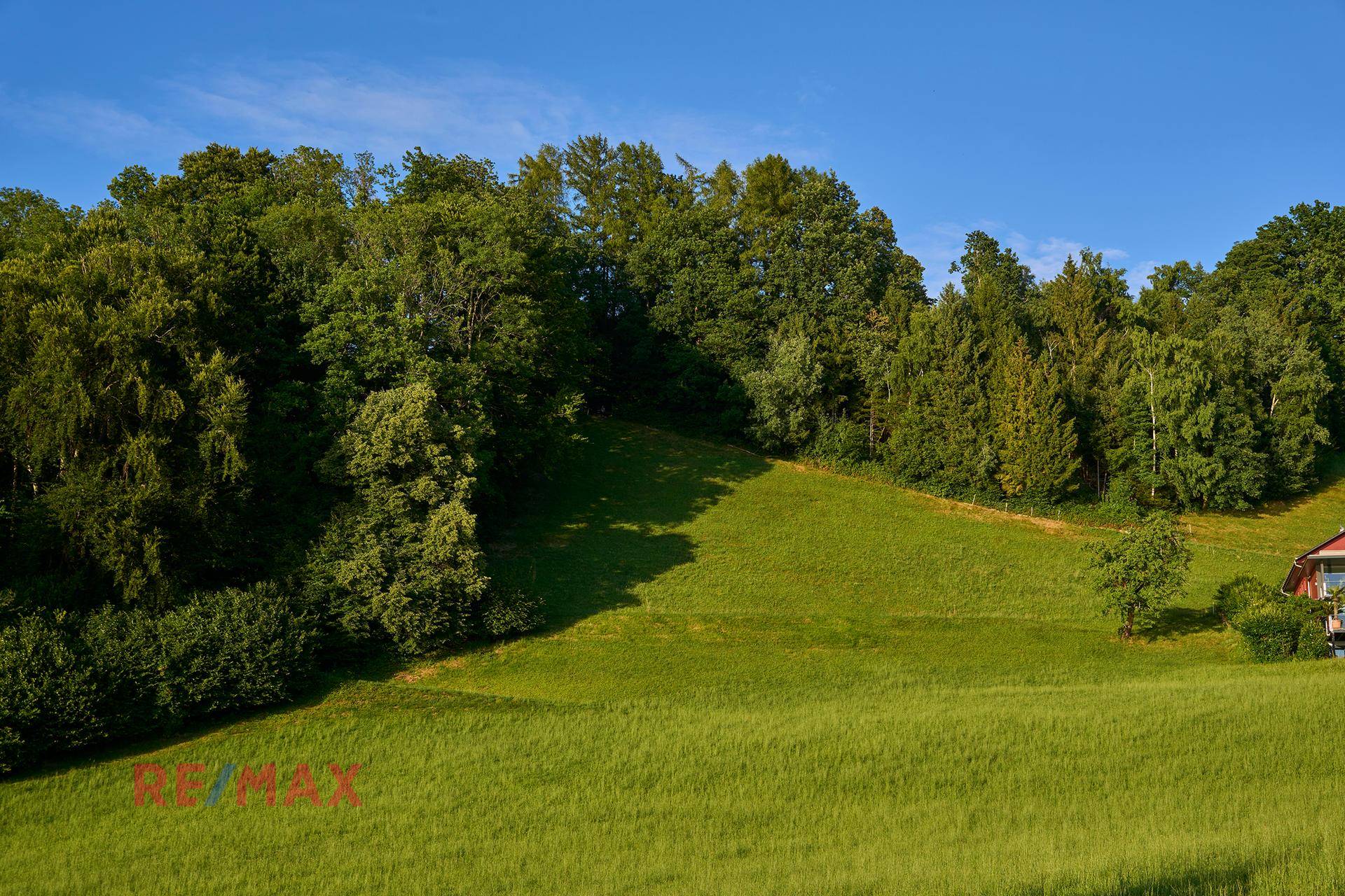 Ansicht
