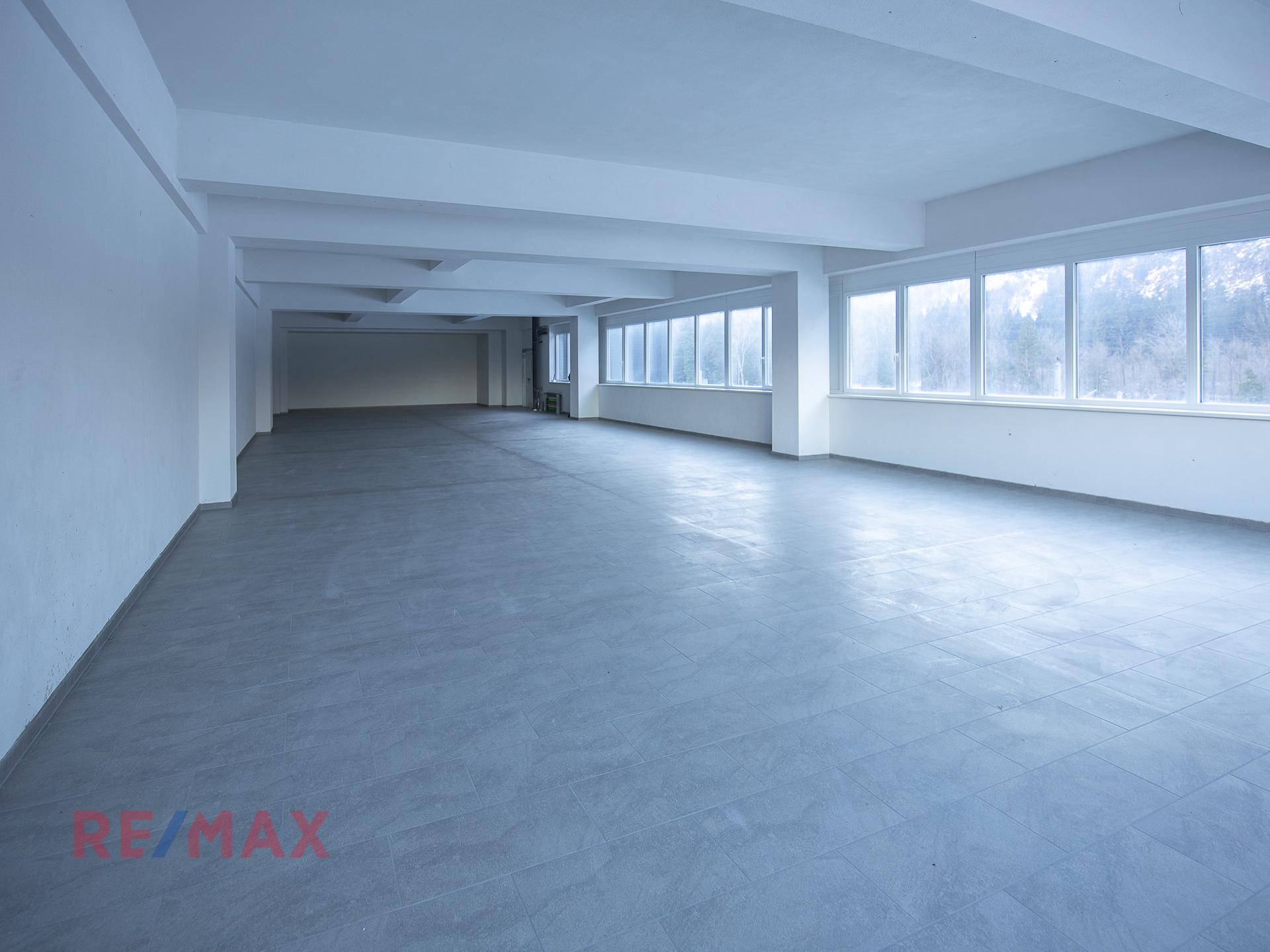 Großer, leerer Gewerberaum mit vielen Fenstern, die viel Tageslicht hereinlassen, und grauem Boden.