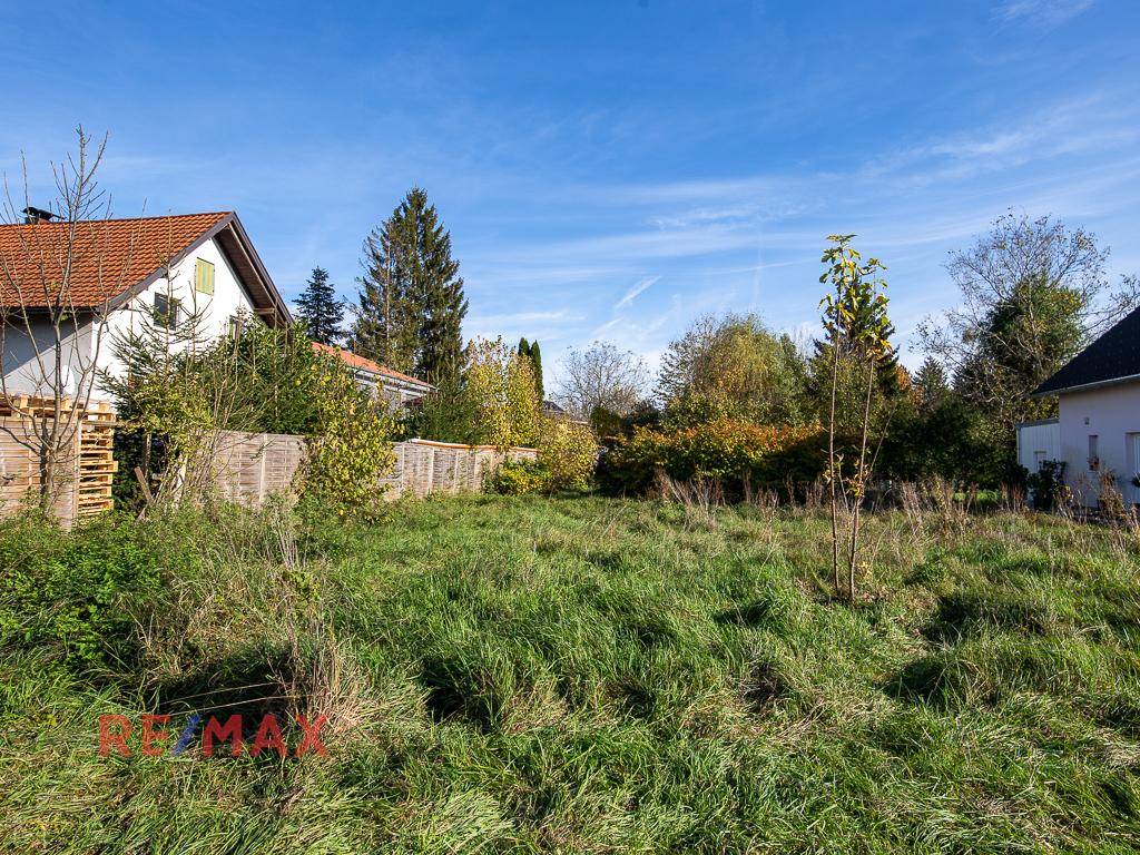 Unbebautes Grundstück mit Wiese und umgebenden Häusern unter blauem Himmel.