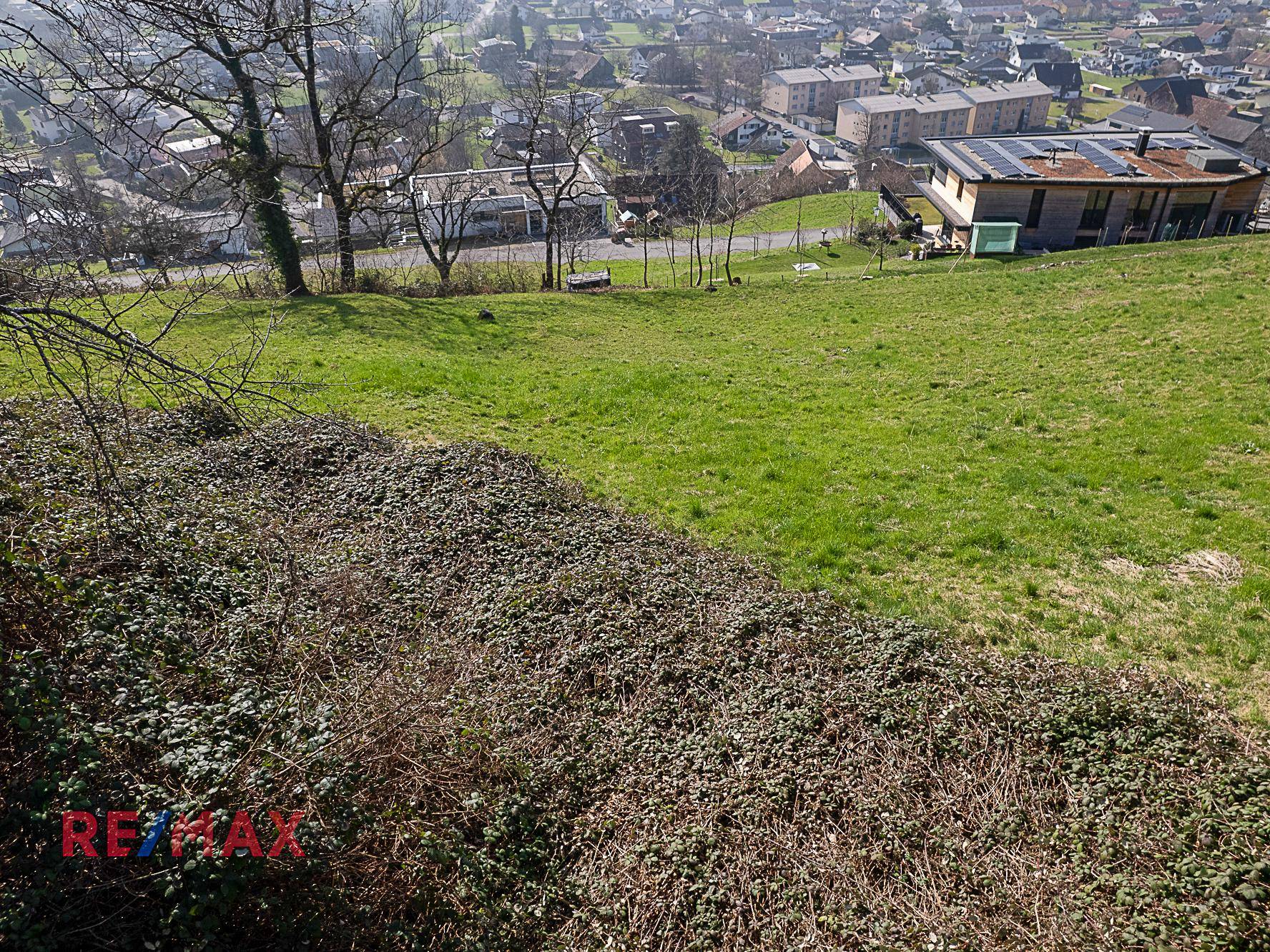 Blick über eine grüne Wiese und Büsche auf eine entfernte Stadtlandschaft unter blauem Himmel.