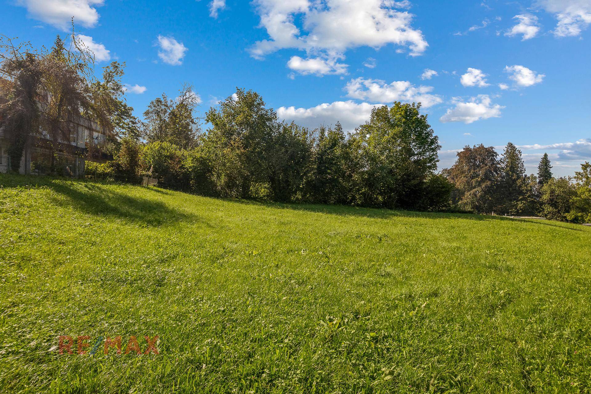Weitläufige grüne Wiese unter blauem Himmel mit Bäumen im Hintergrund.