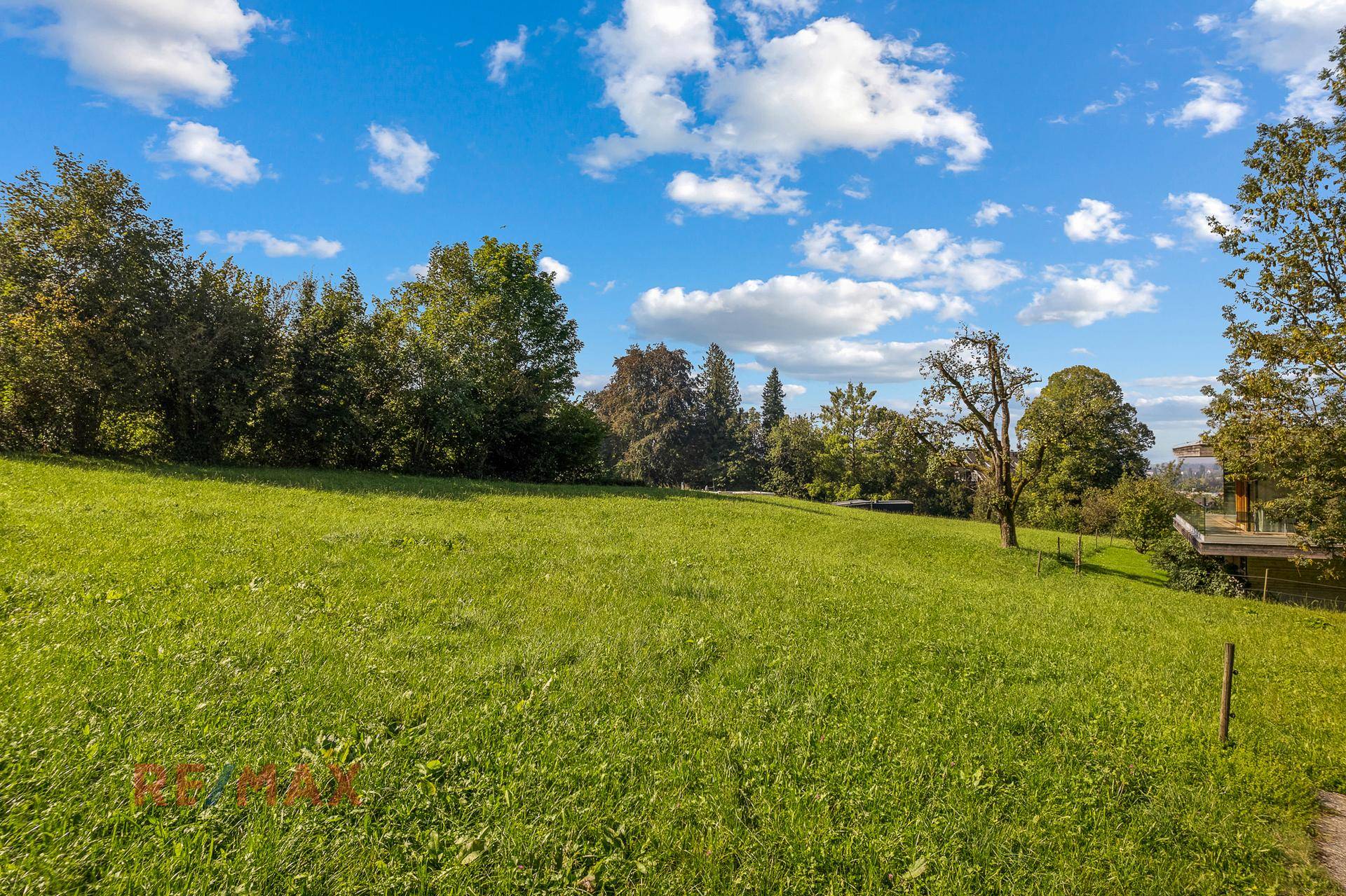Sonnige Wiesenlandschaft mit vereinzelten Bäumen und weitem Blick in die Natur.