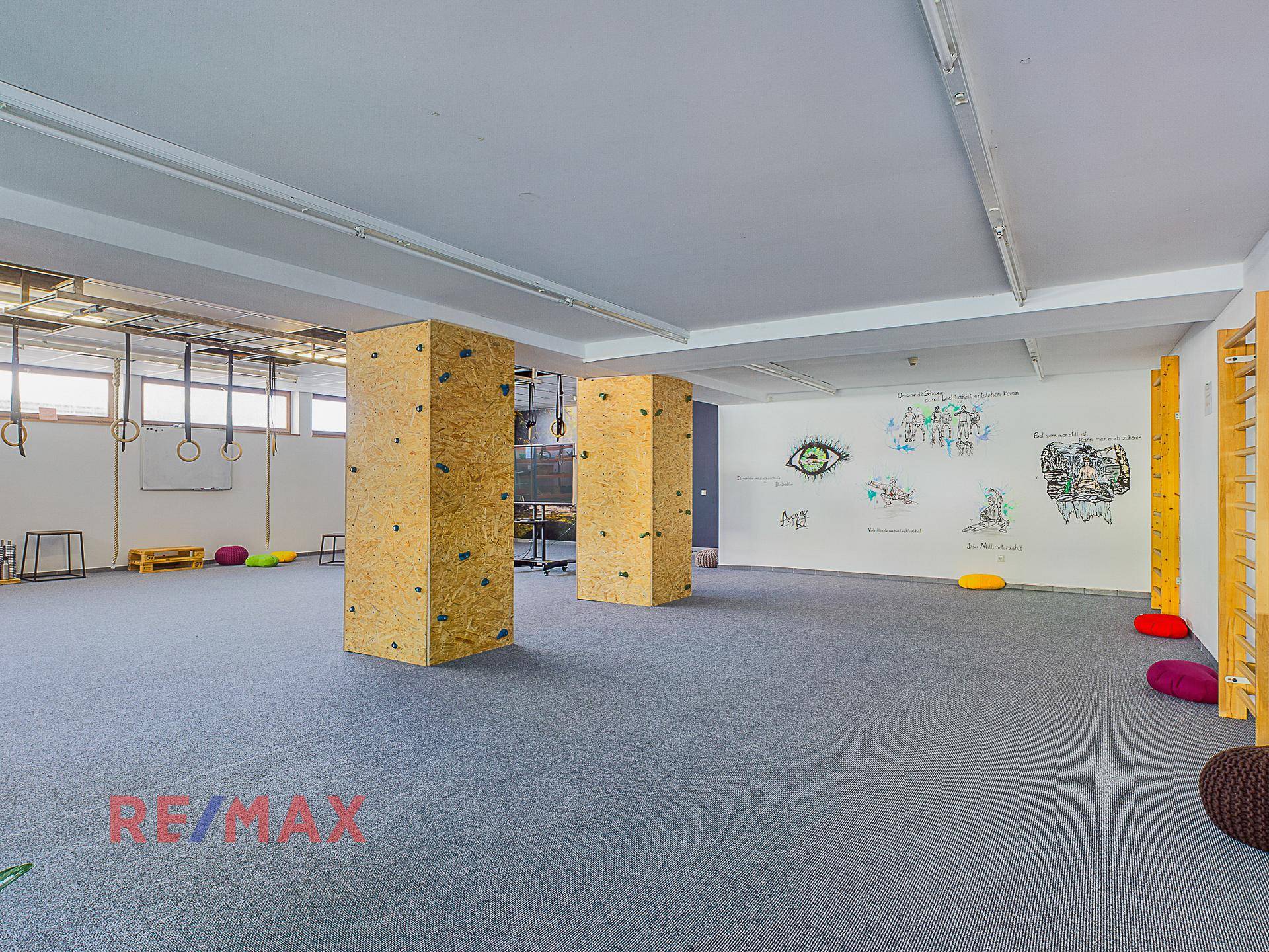 Großer Mehrzweckraum mit Teppichboden, Kletterwänden und Turngeräten für sportliche Aktivitäten.