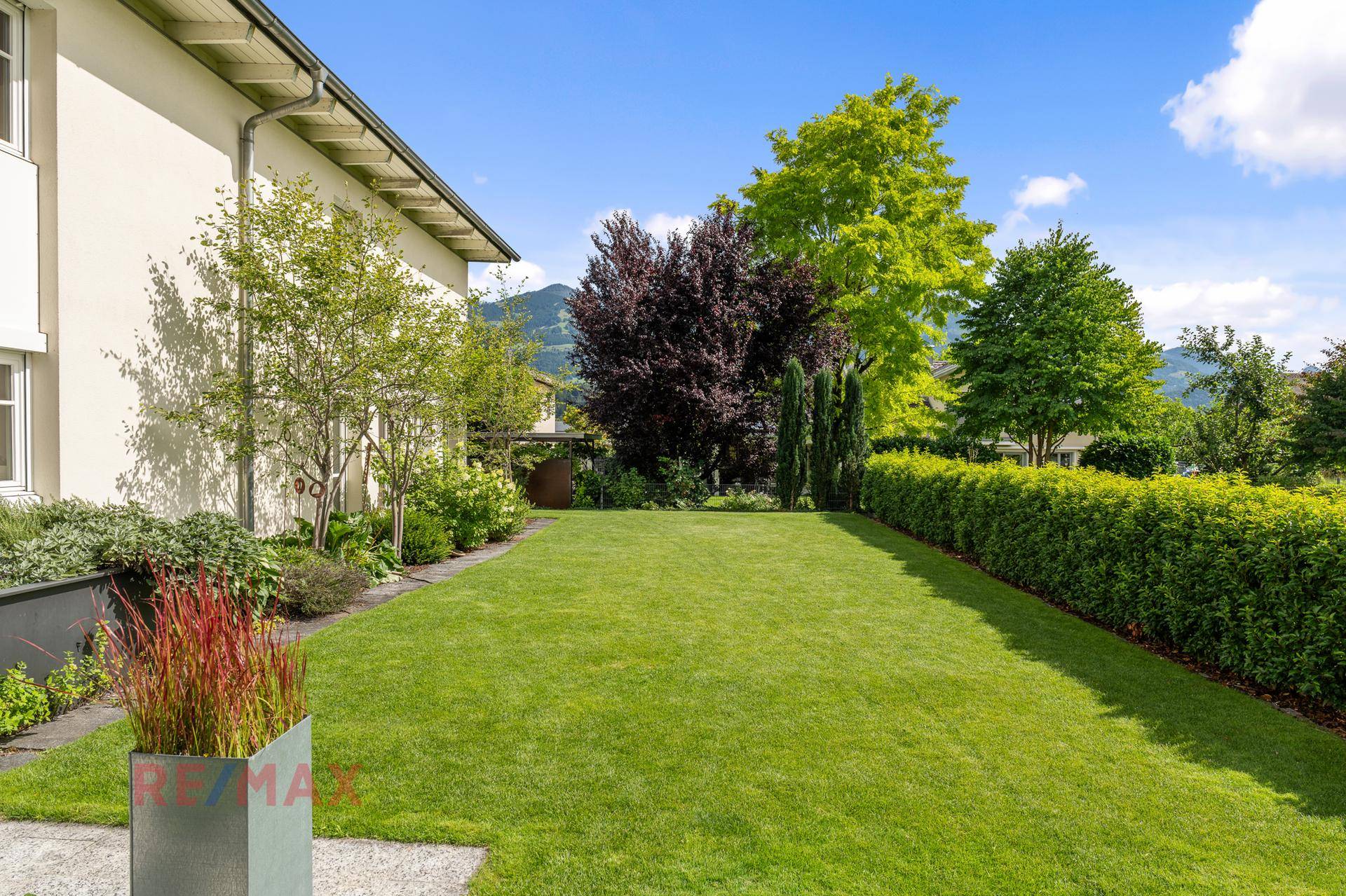 Gepflegte Rasenfläche im Garten mit Bäumen und Hecken, ideal zum Entspannen.