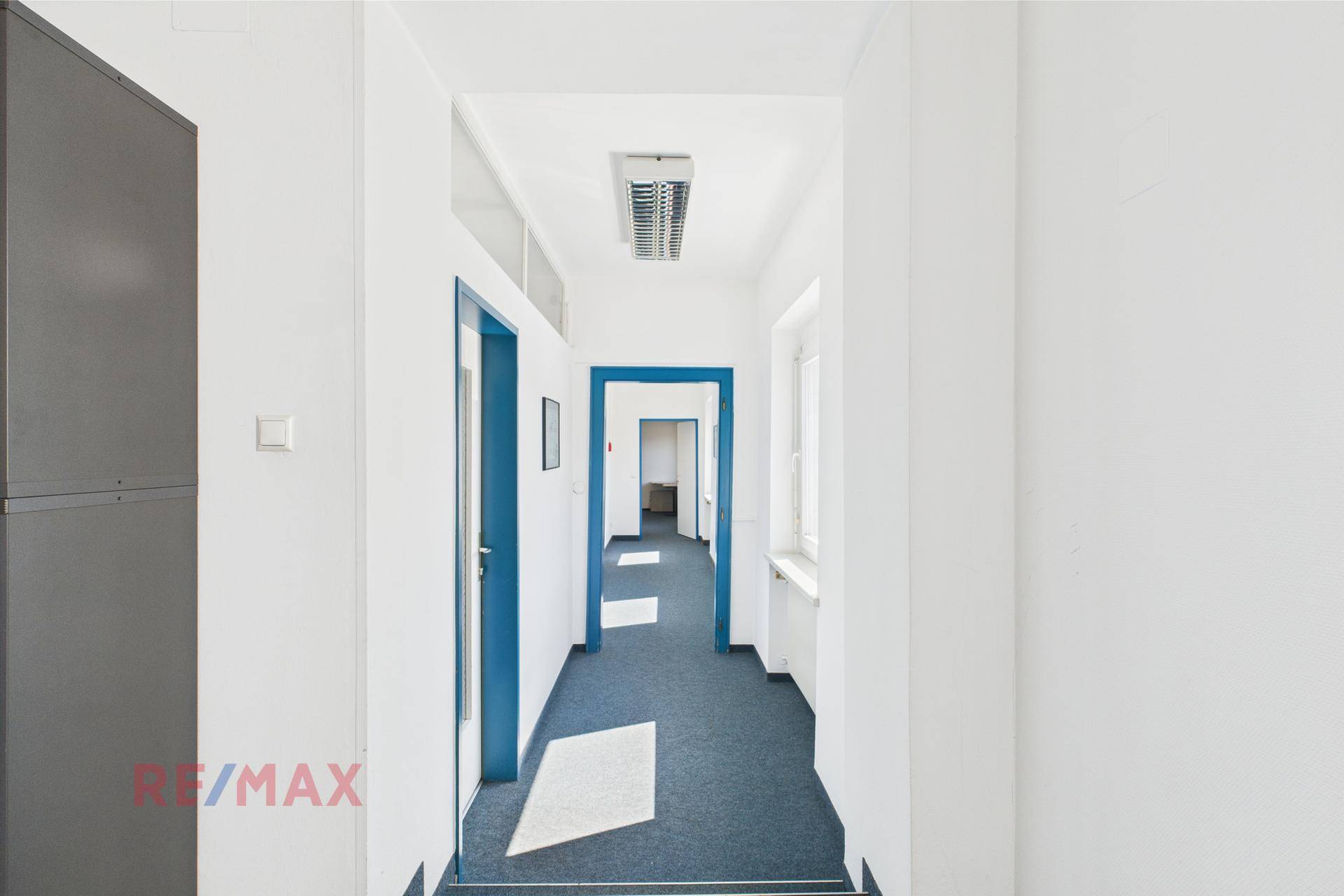 Langer, heller Flur mit blauem Teppichboden und markanten blauen Türrahmen, der zu verschiedenen Büroräumen führt.