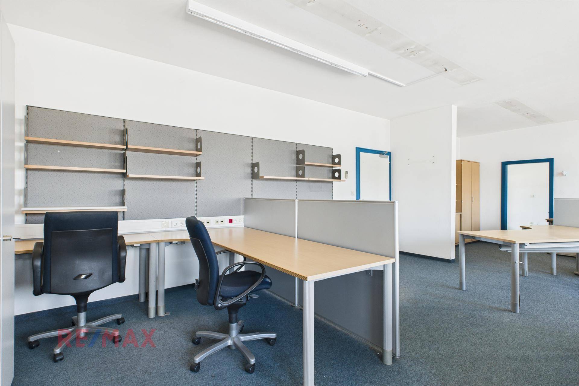 Großraumbüro mit mehreren Arbeitsplätzen, blauem Teppichboden und Regalen, ideal für Teamarbeit und Organisation.