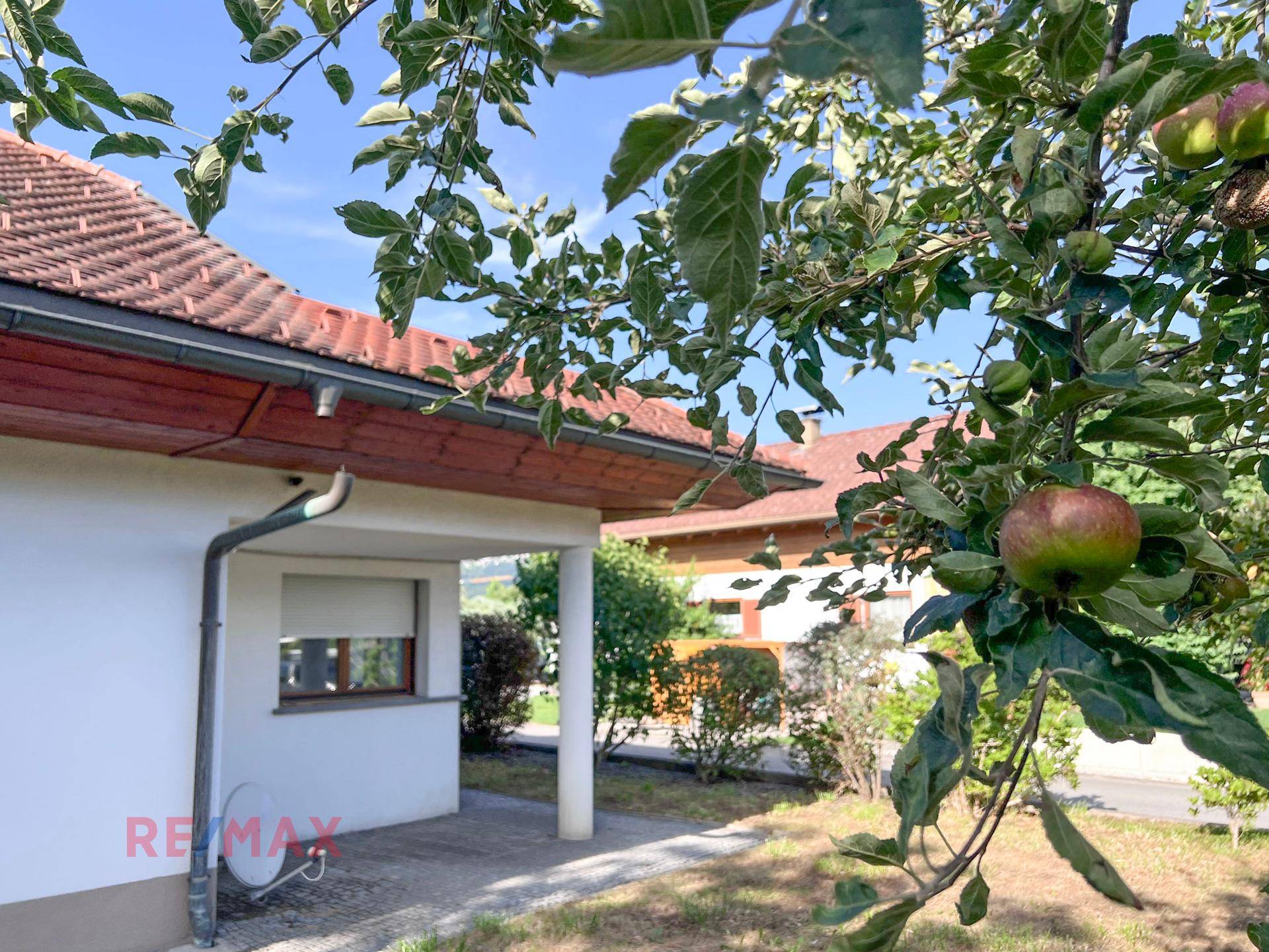 Seitenansicht des Hauses mit einem Apfelbaum im Vordergrund und Blick auf die Umgebung.