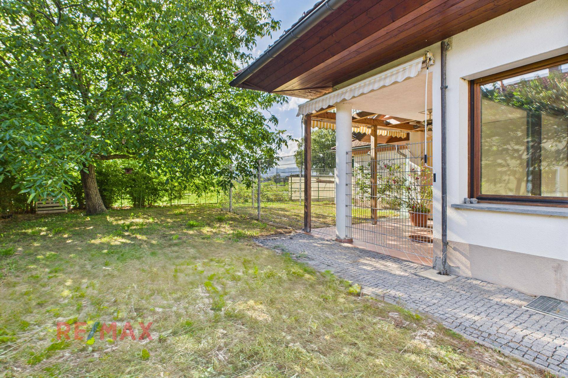 Gartenbereich mit altem Baum und gepflastertem Weg neben dem Haus.