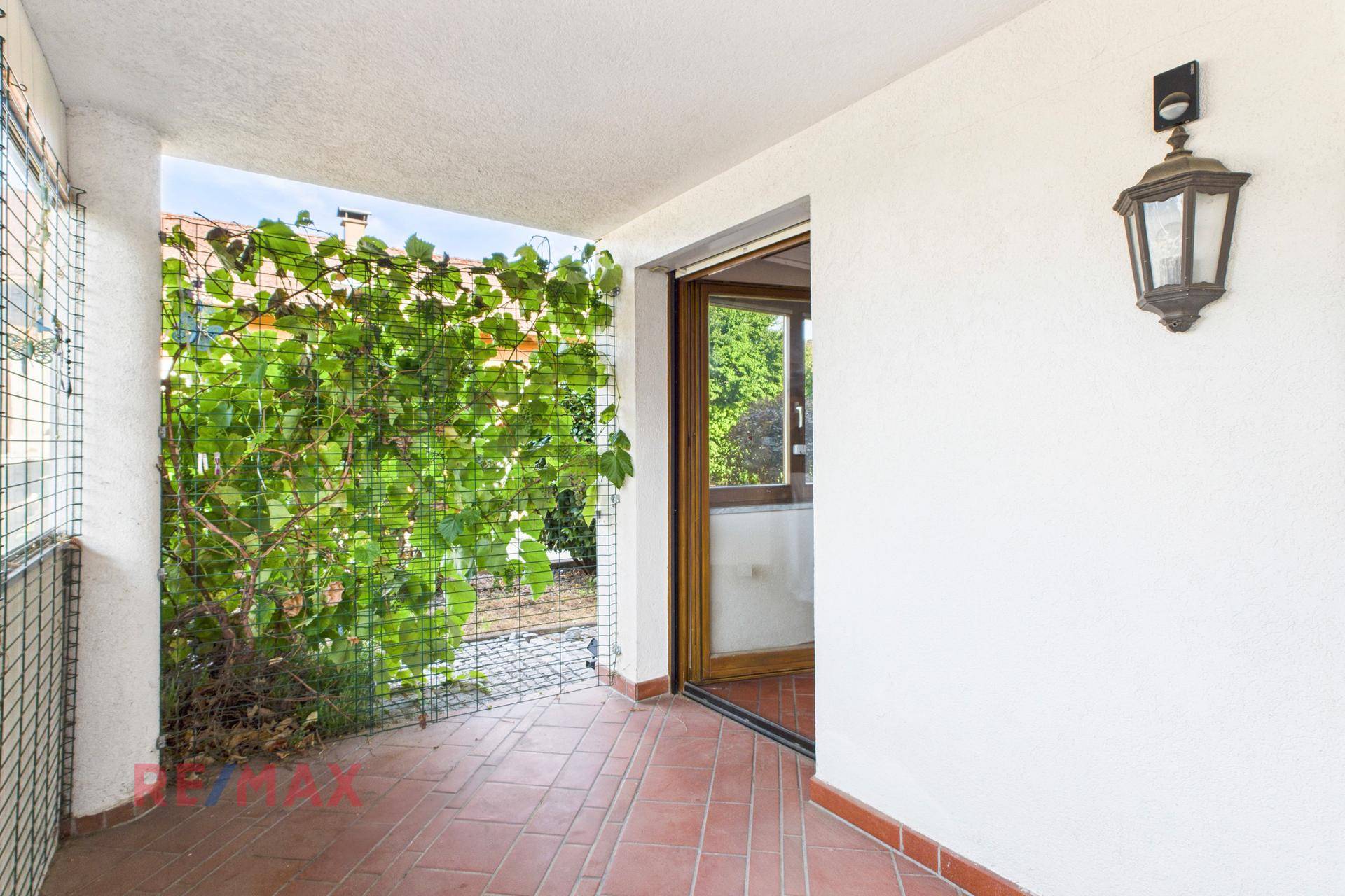 Überdachter Terrassenzugang mit Rankpflanzen und Außenleuchte, schafft eine gemütliche Atmosphäre.
