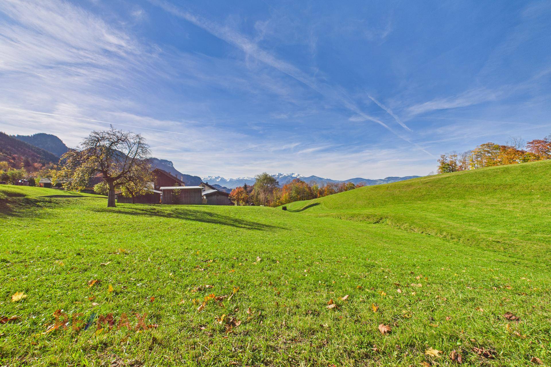 Weite grüne Wiesen mit Blick auf schneebedeckte Berggipfel und ländliche Bebauung.