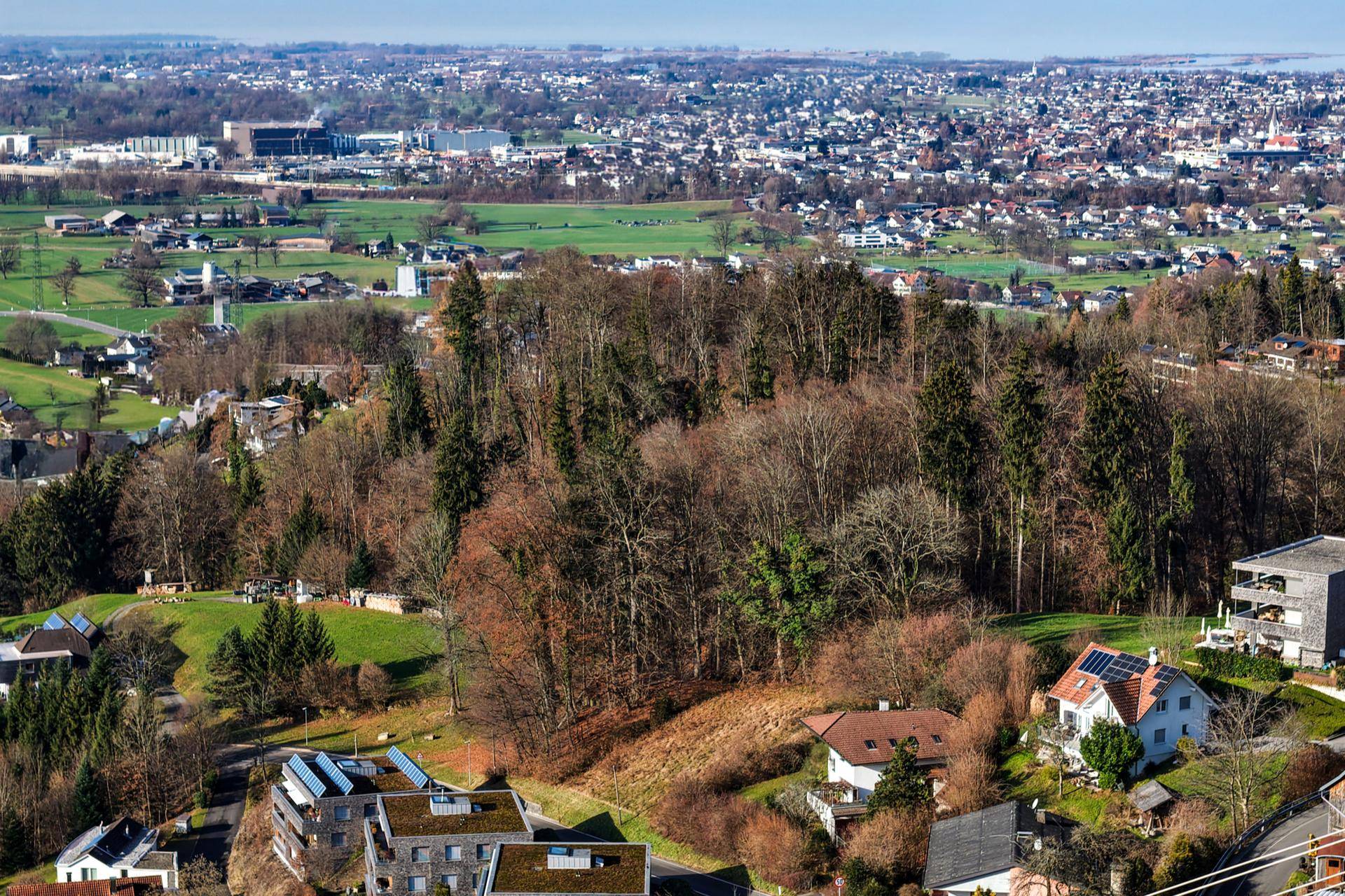 Wolfurt Rickenbach - Grundstück in sonniger Bestlage - Ansicht 3