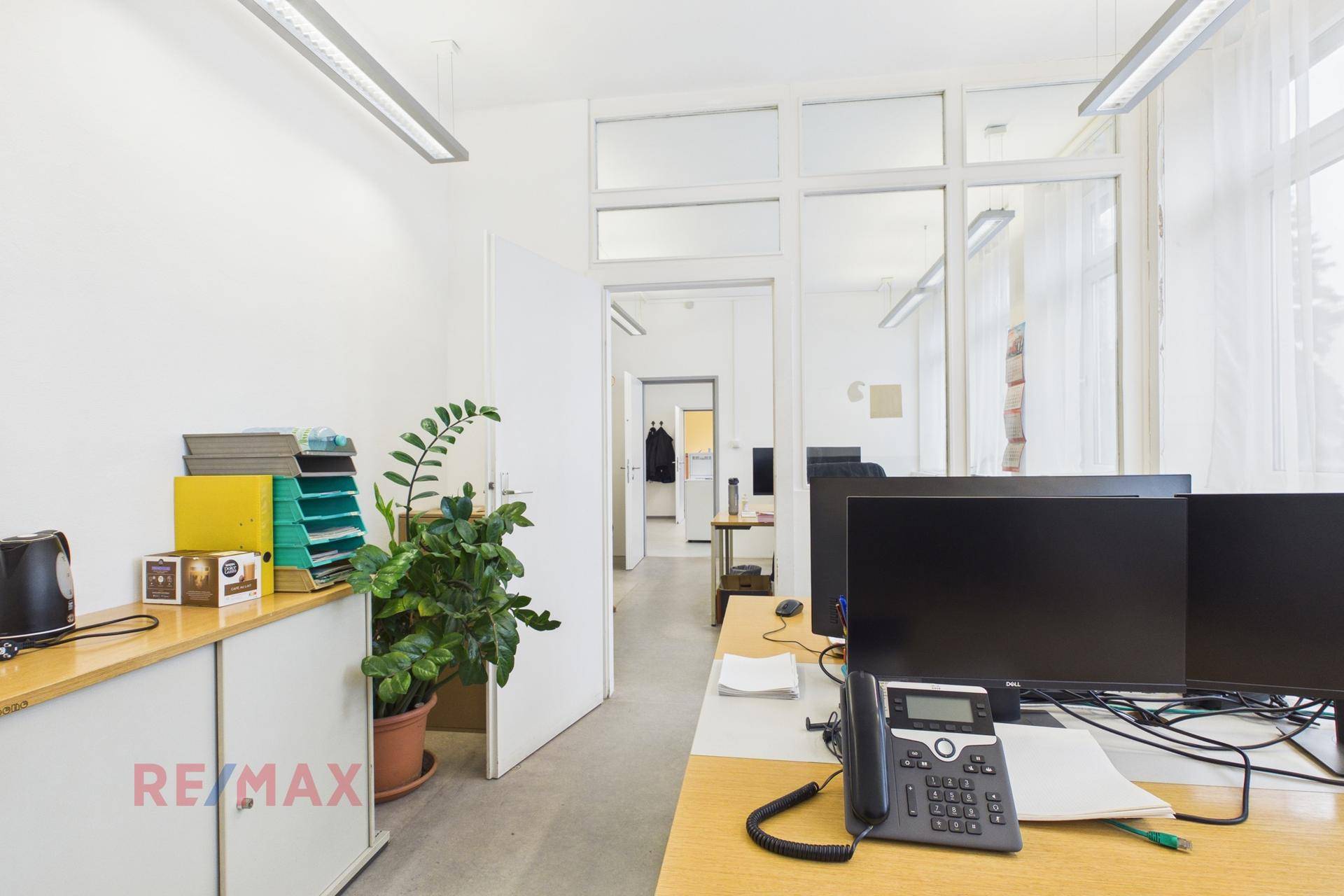 Helles Büro mit Schreibtischen, Computern und Pflanzen, ausgestattet mit großen Fenstern und modernen Leuchten.