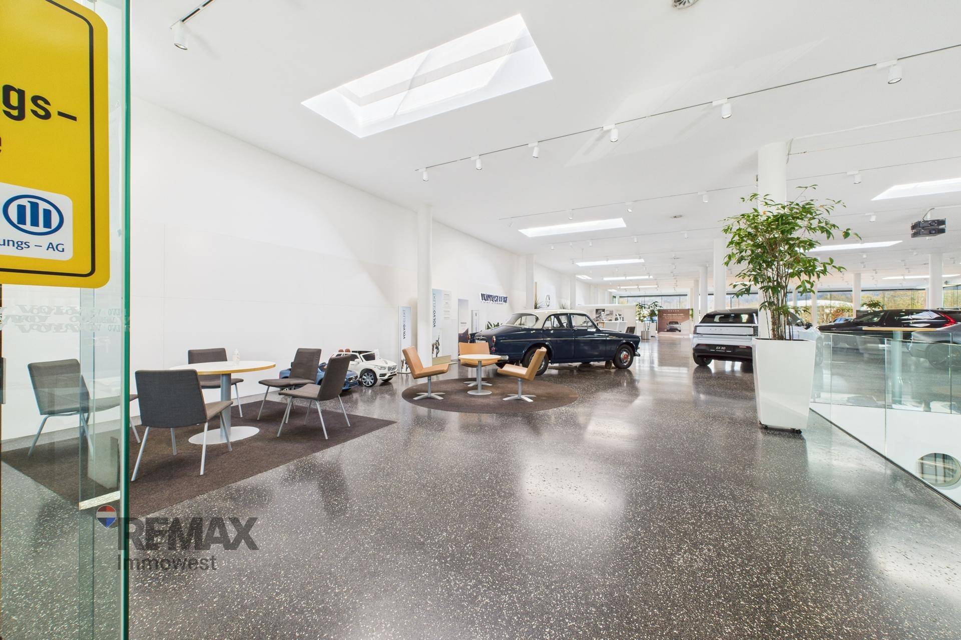 Geräumiger Showroom mit verschiedenen Sitzbereichen, Ausstellungsfahrzeugen und großen Fenstern.