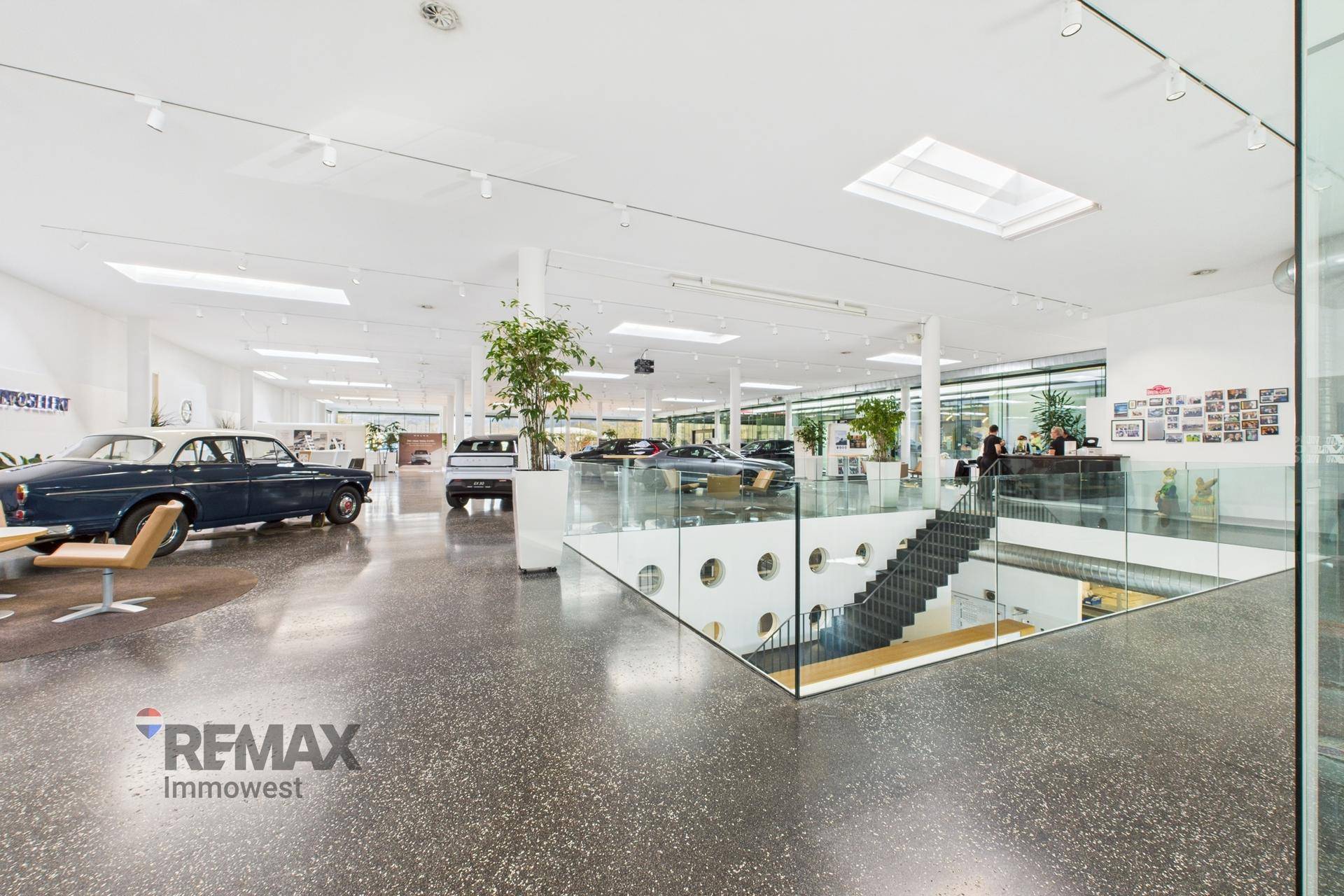 Weitläufiger Showroom mit Ausstellungsfahrzeugen, Sitzbereichen und einer modernen Treppe mit Glasgeländer.