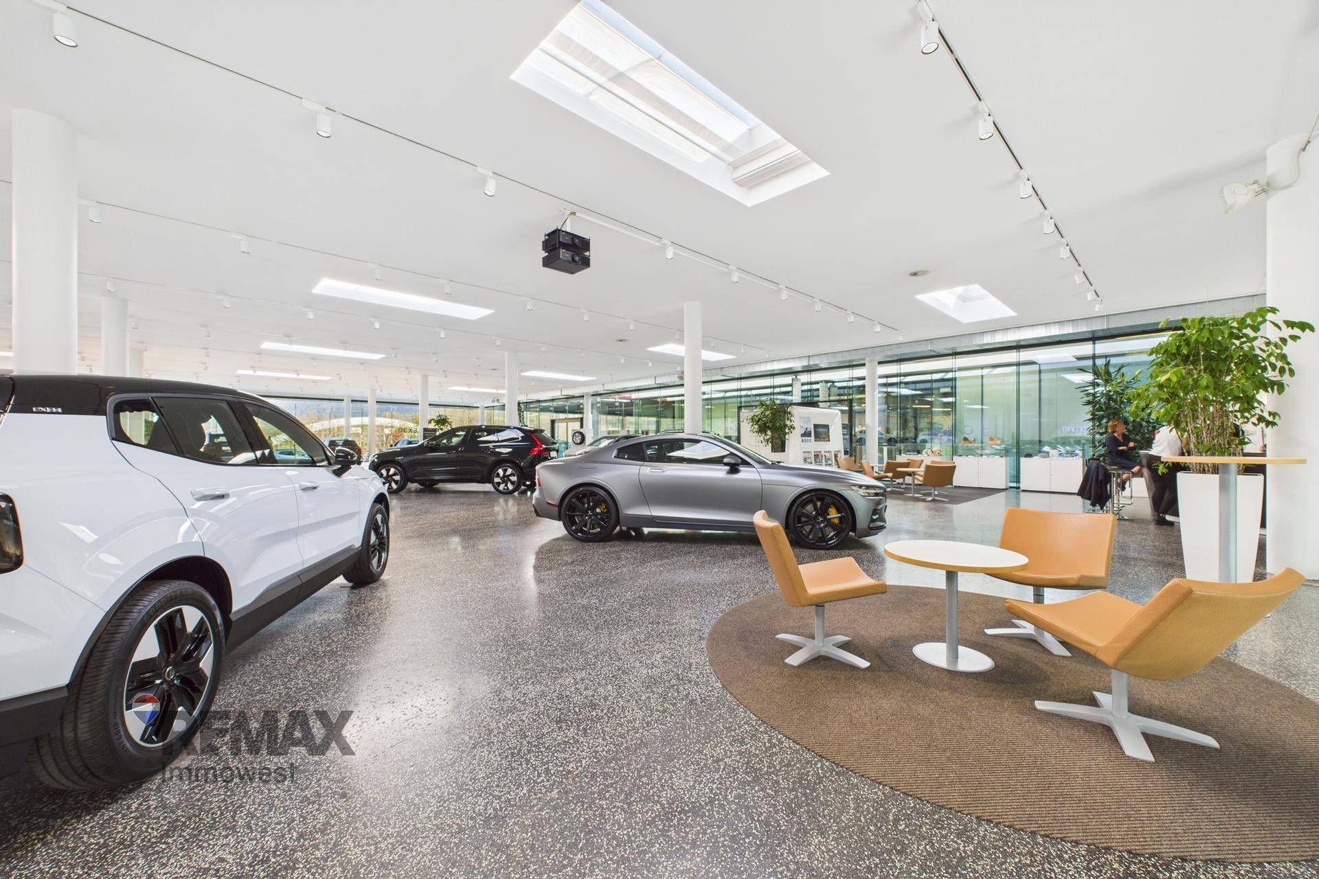 Moderner Showroom mit neuen Fahrzeugmodellen, stilvollen Sitzgelegenheiten und viel Tageslicht.