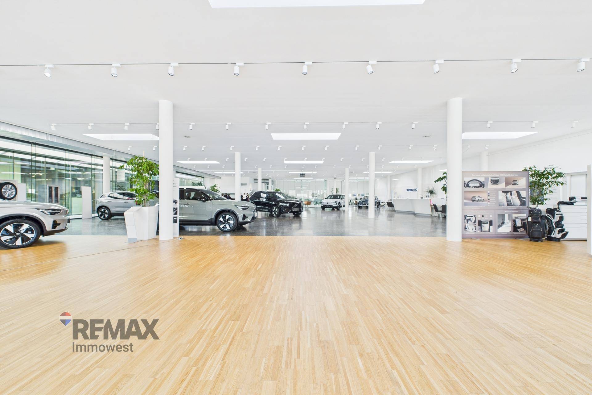 Großer, offener Showroom mit hellem Holzfußboden, modernen Fahrzeugen und viel natürlichem Licht.