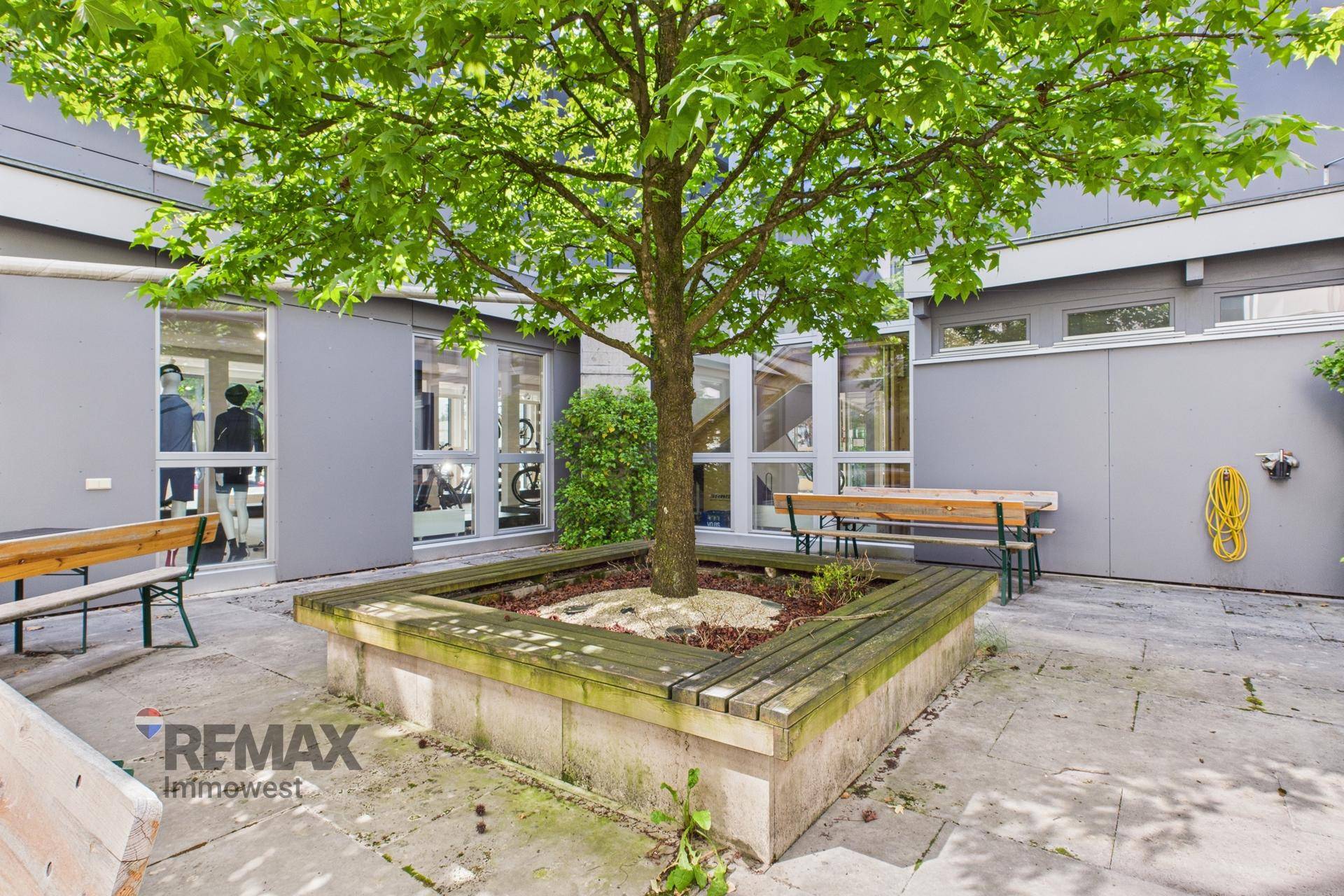 Ruhiger Innenhof mit einem Baum in der Mitte und Holzbänken, ideal für eine entspannte Pause.