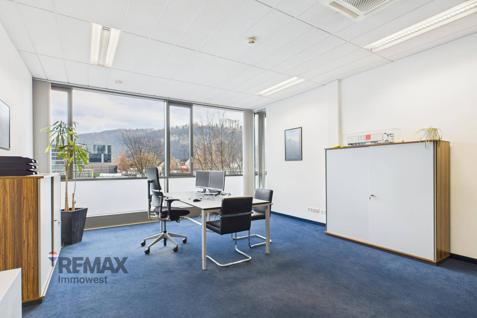 Einzelbüro mit Schreibtisch, Bürostühlen, großen Fenstern und blauem Teppichboden.
